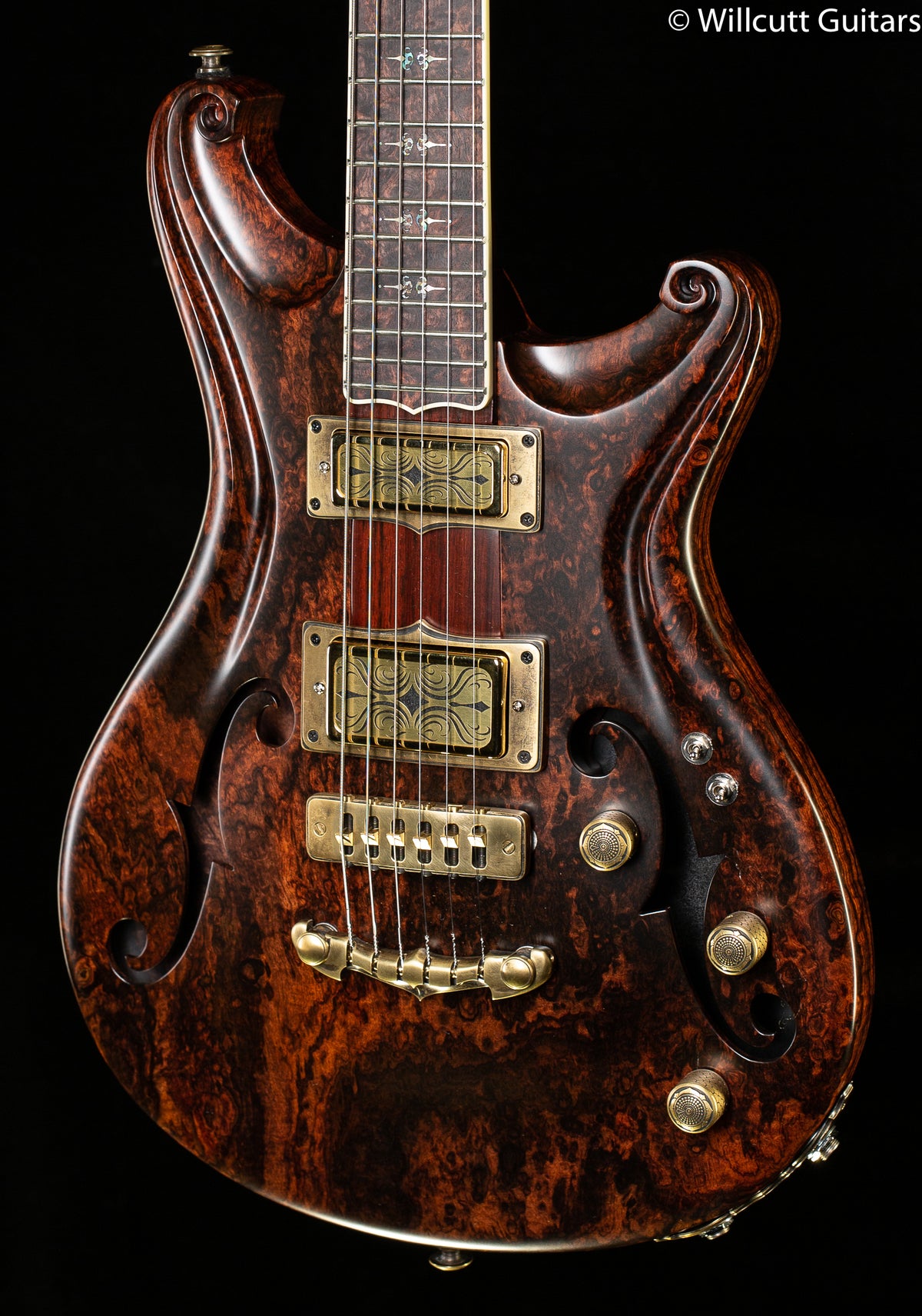 Scott Walker Santa Cruz Hollowbody Legacy Select Rosewood