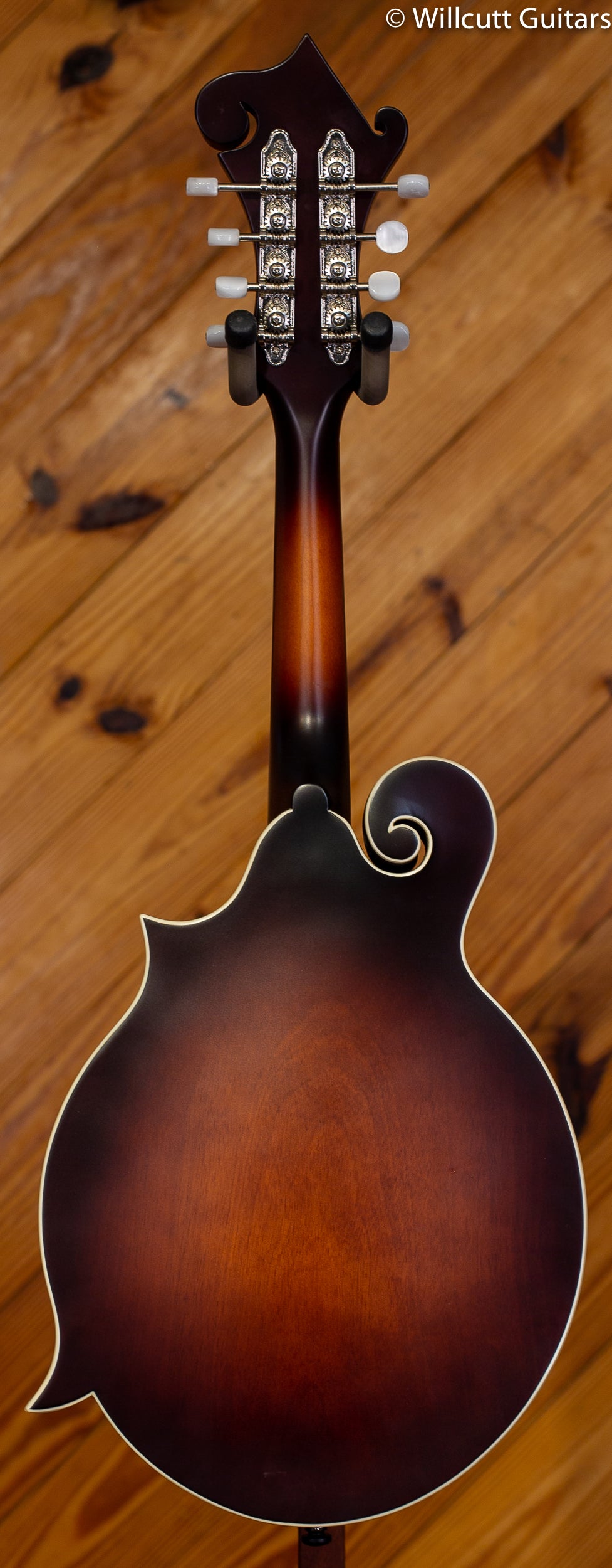 Loar F Mandolin, Solid Top BRB DEMO