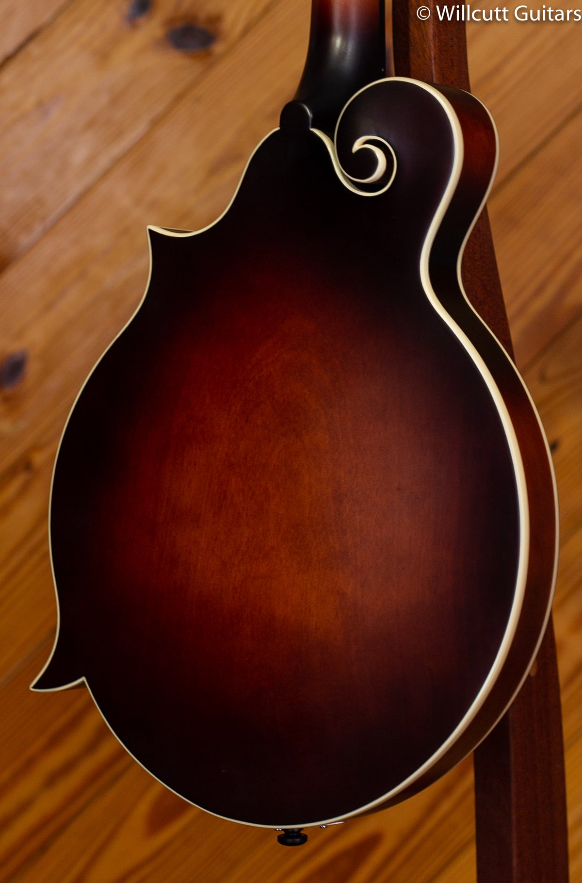 Loar F Mandolin, Solid Top BRB DEMO