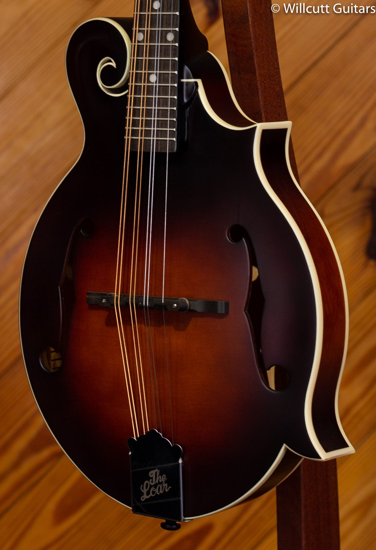 Loar F Mandolin, Solid Top BRB DEMO