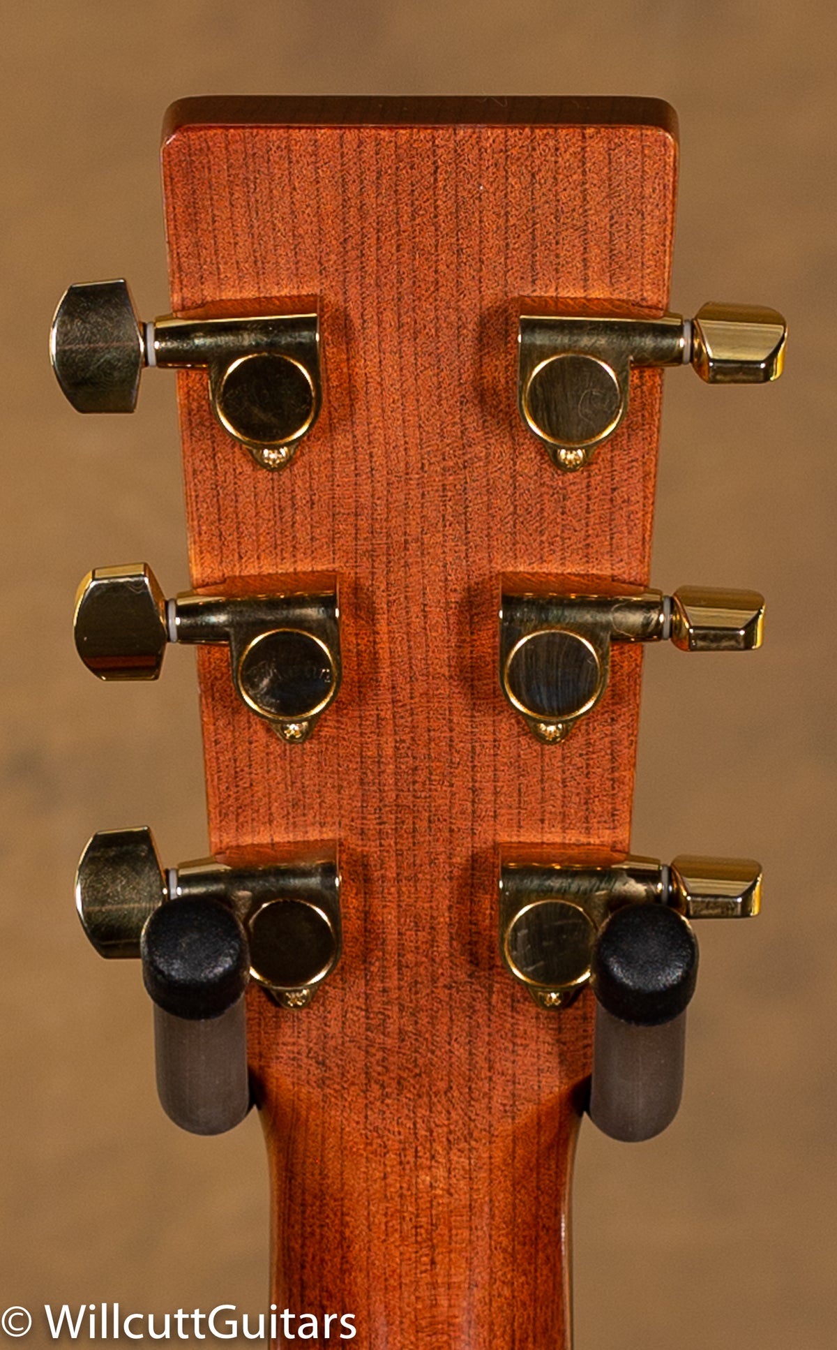 2015 Martin SWOMGT Sustainable Woods OM