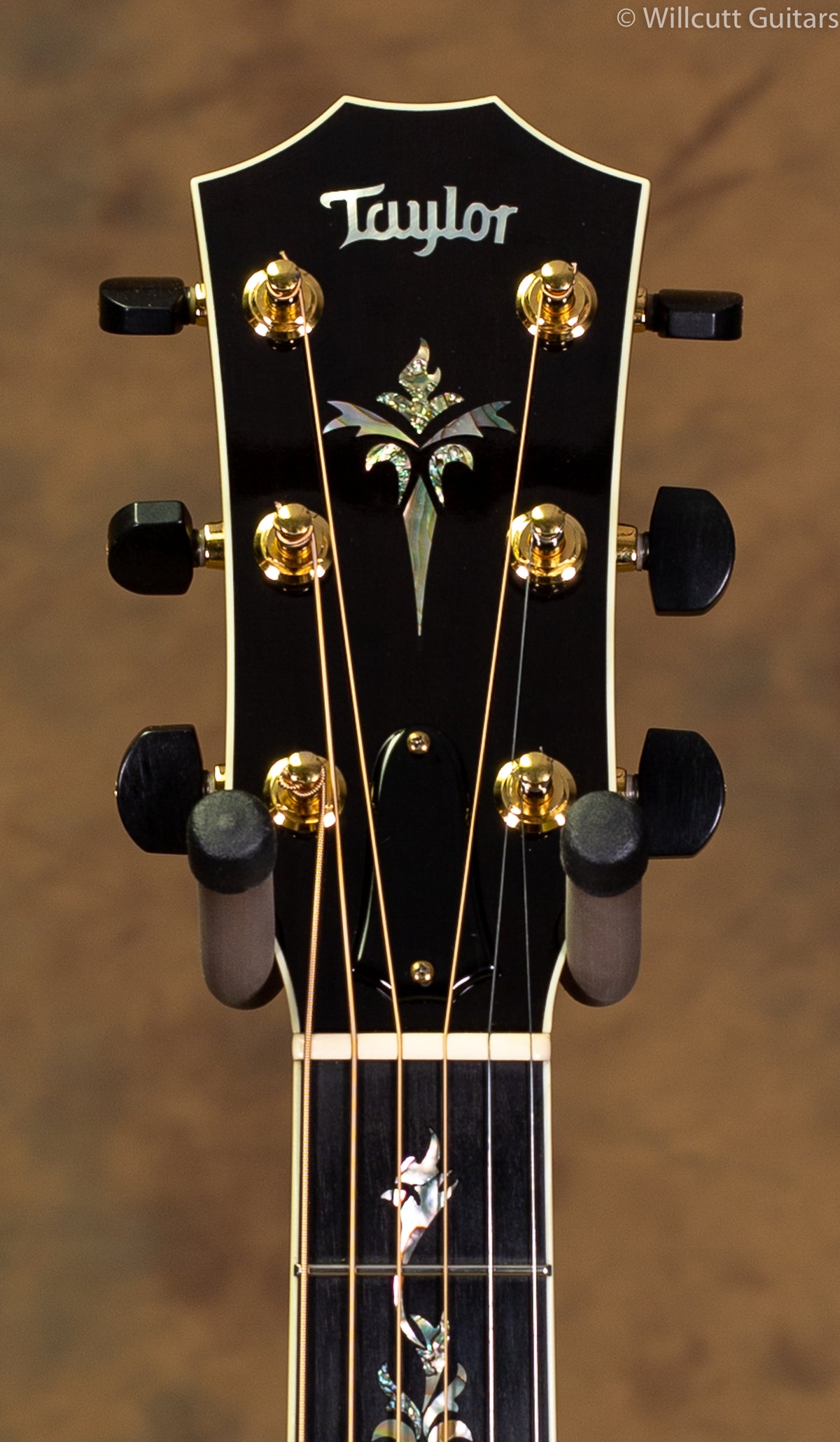 Taylor USED PS14c Brazilian Rosewood w/ Pickup