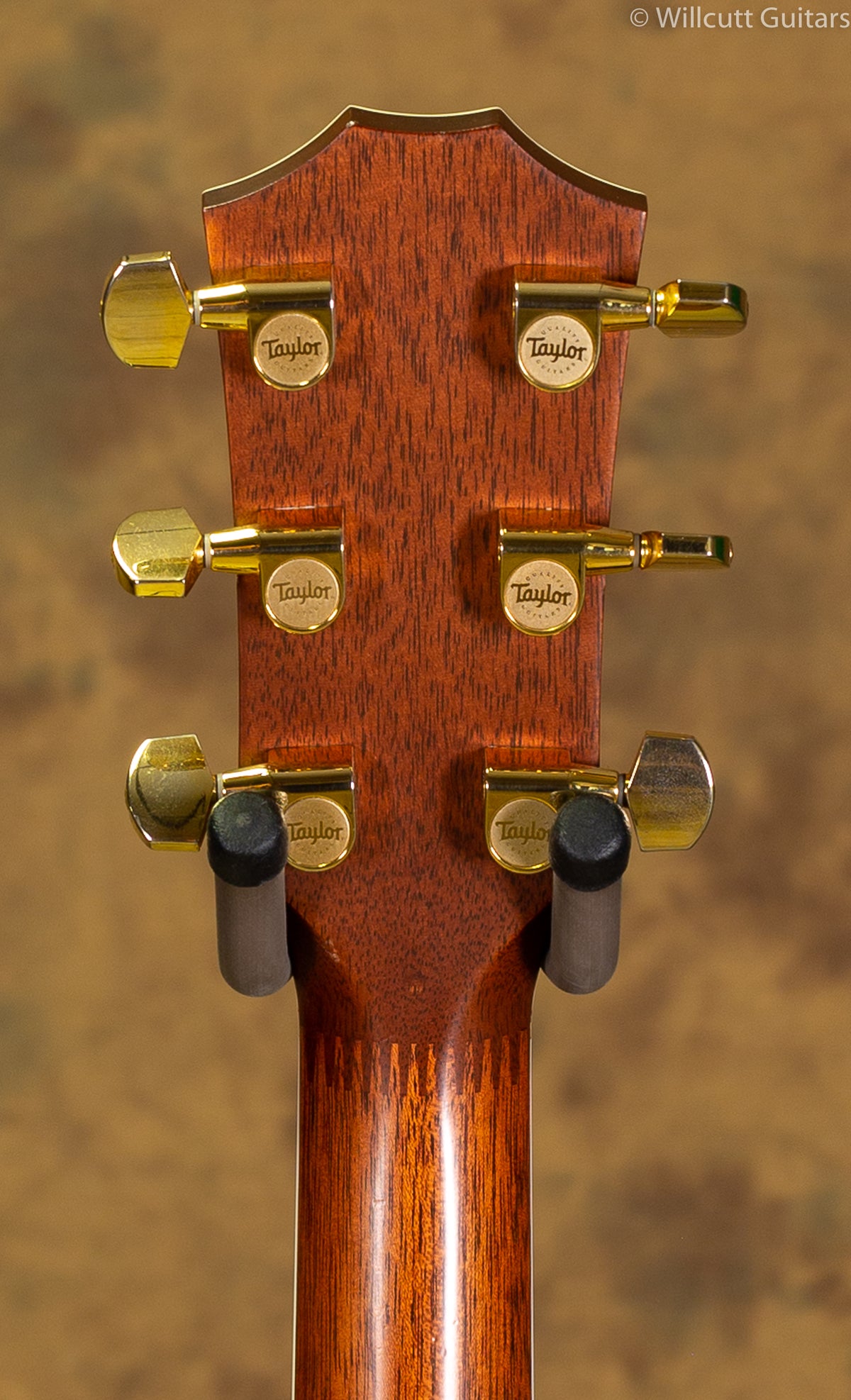 Taylor 810ce USED