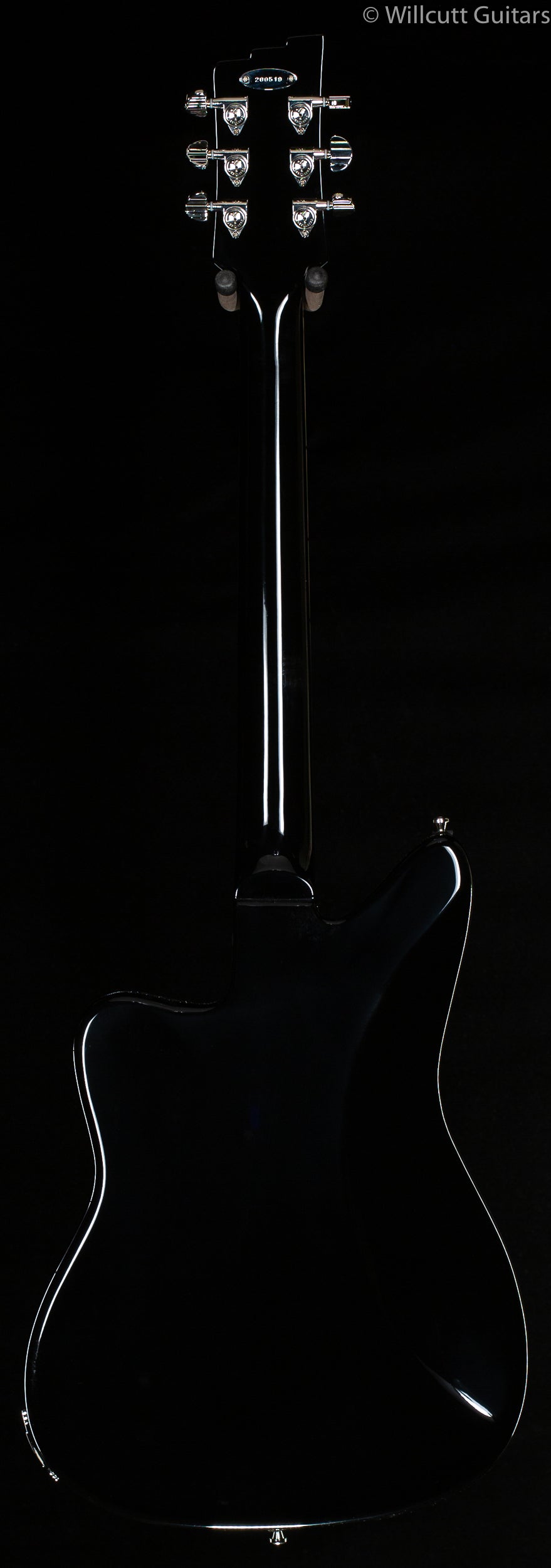 Duesenberg Paloma Catalina Sunset Rose