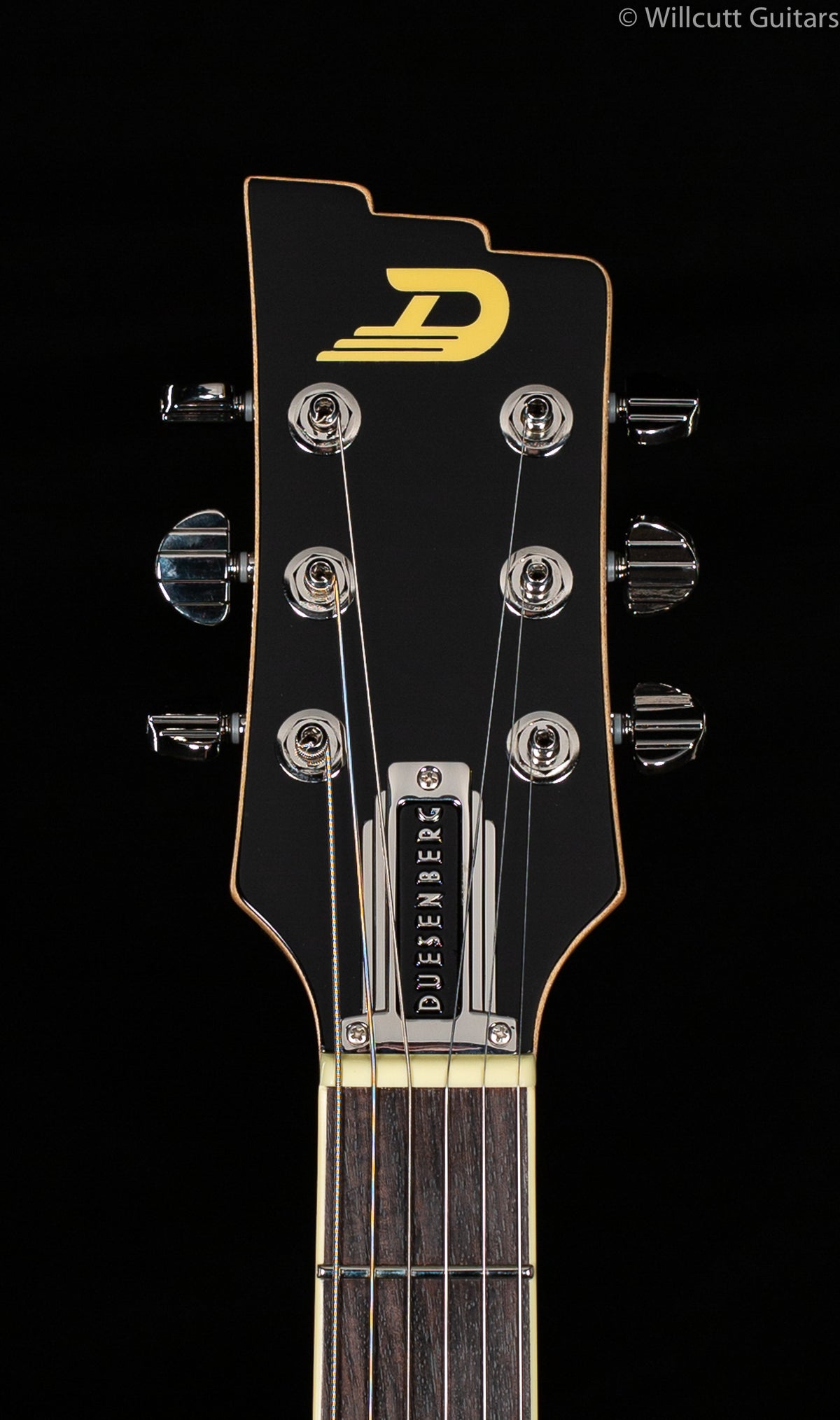Duesenberg Paloma Catalina Sunset Rose