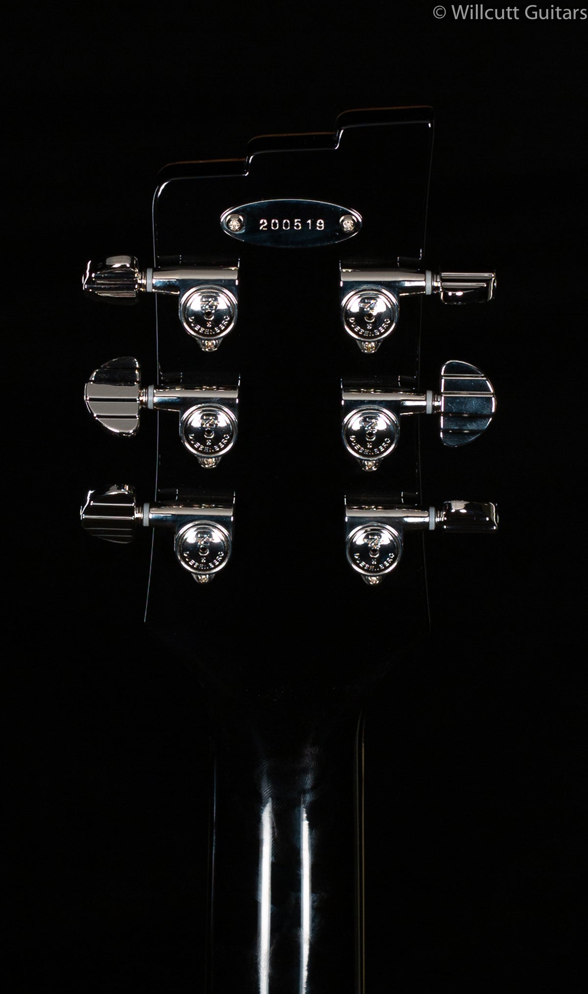 Duesenberg Paloma Catalina Sunset Rose