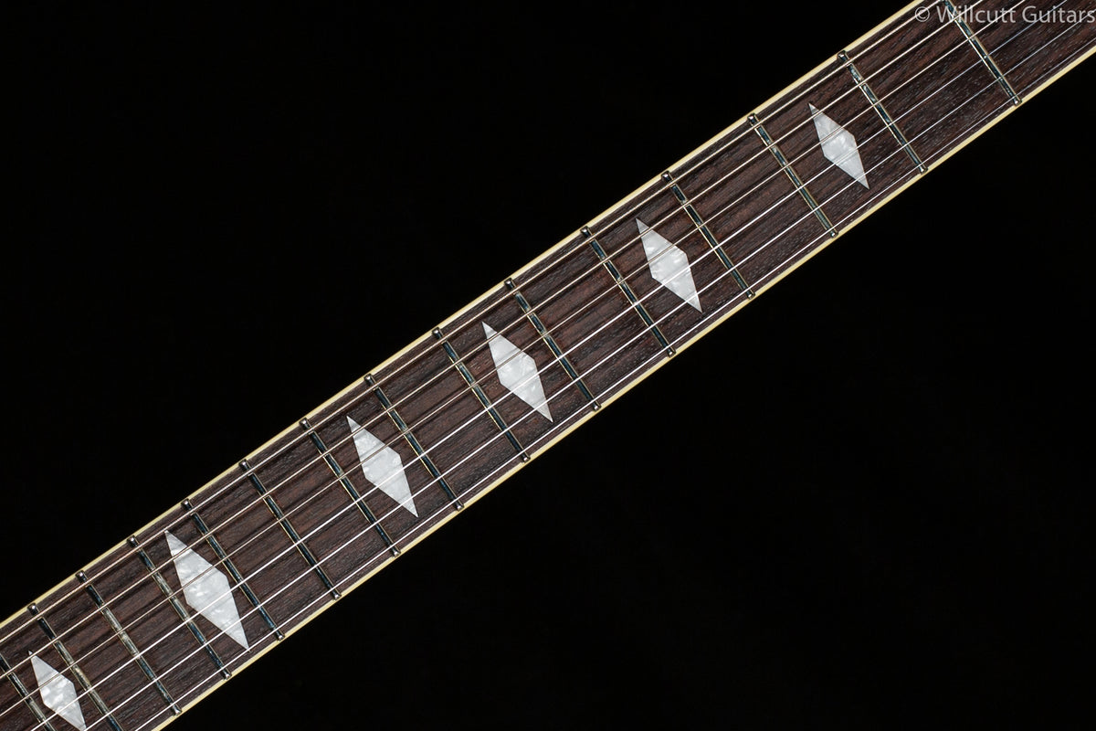 Duesenberg Paloma Catalina Sunset Rose