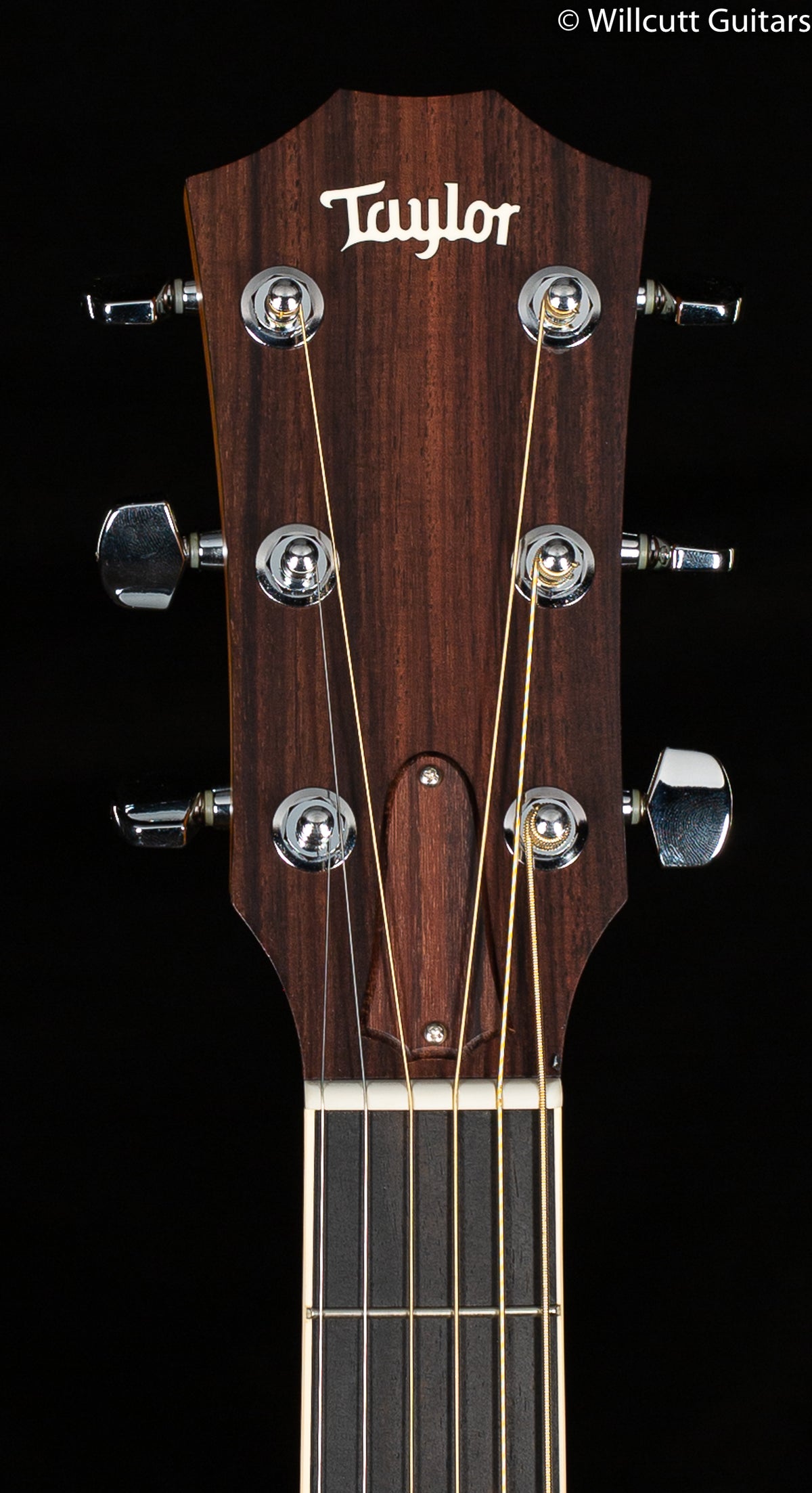 Taylor Grand Concert Ovangkol Left Handed USED