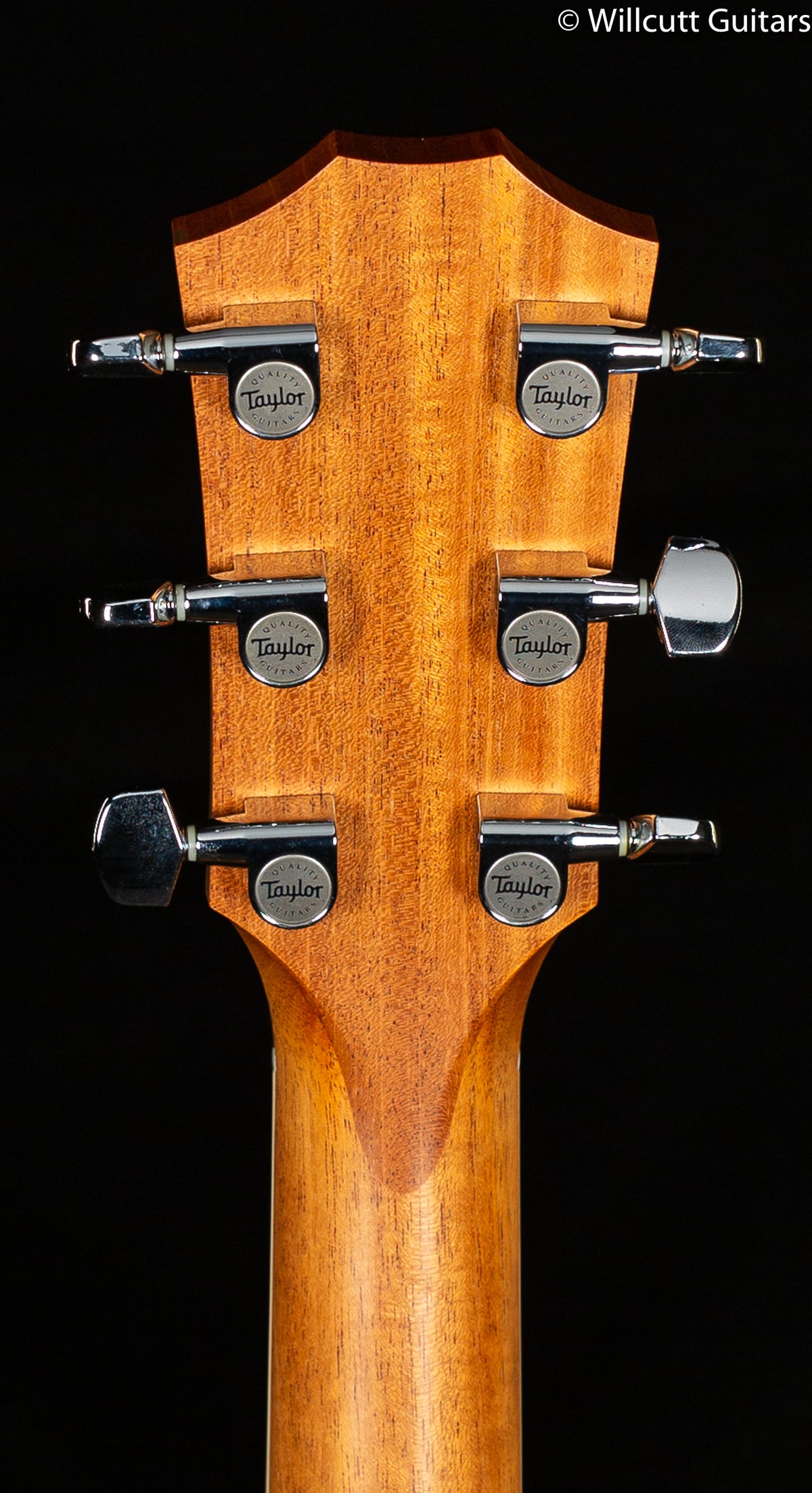 Taylor Grand Concert Ovangkol Left Handed USED