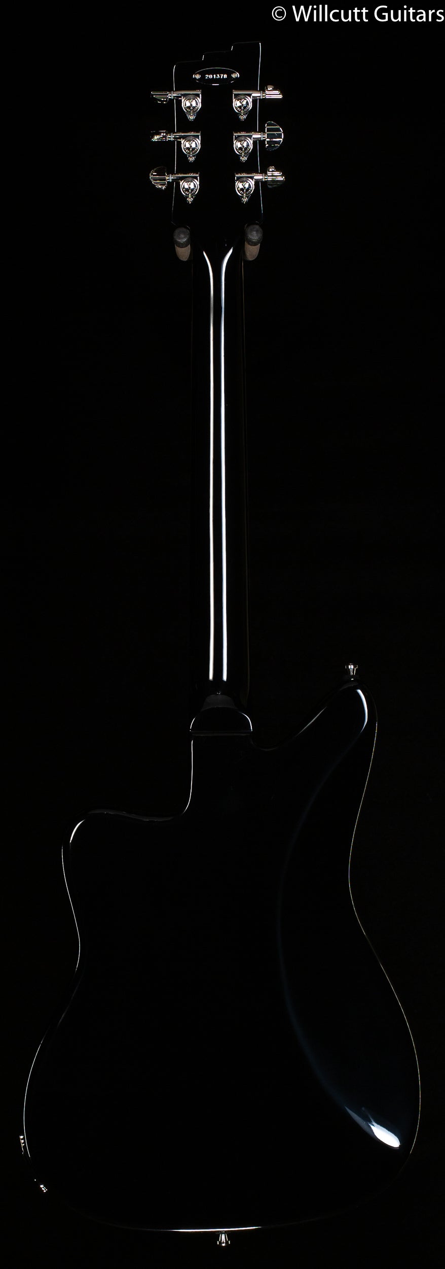 Duesenberg Paloma Catalina Sunset Rose