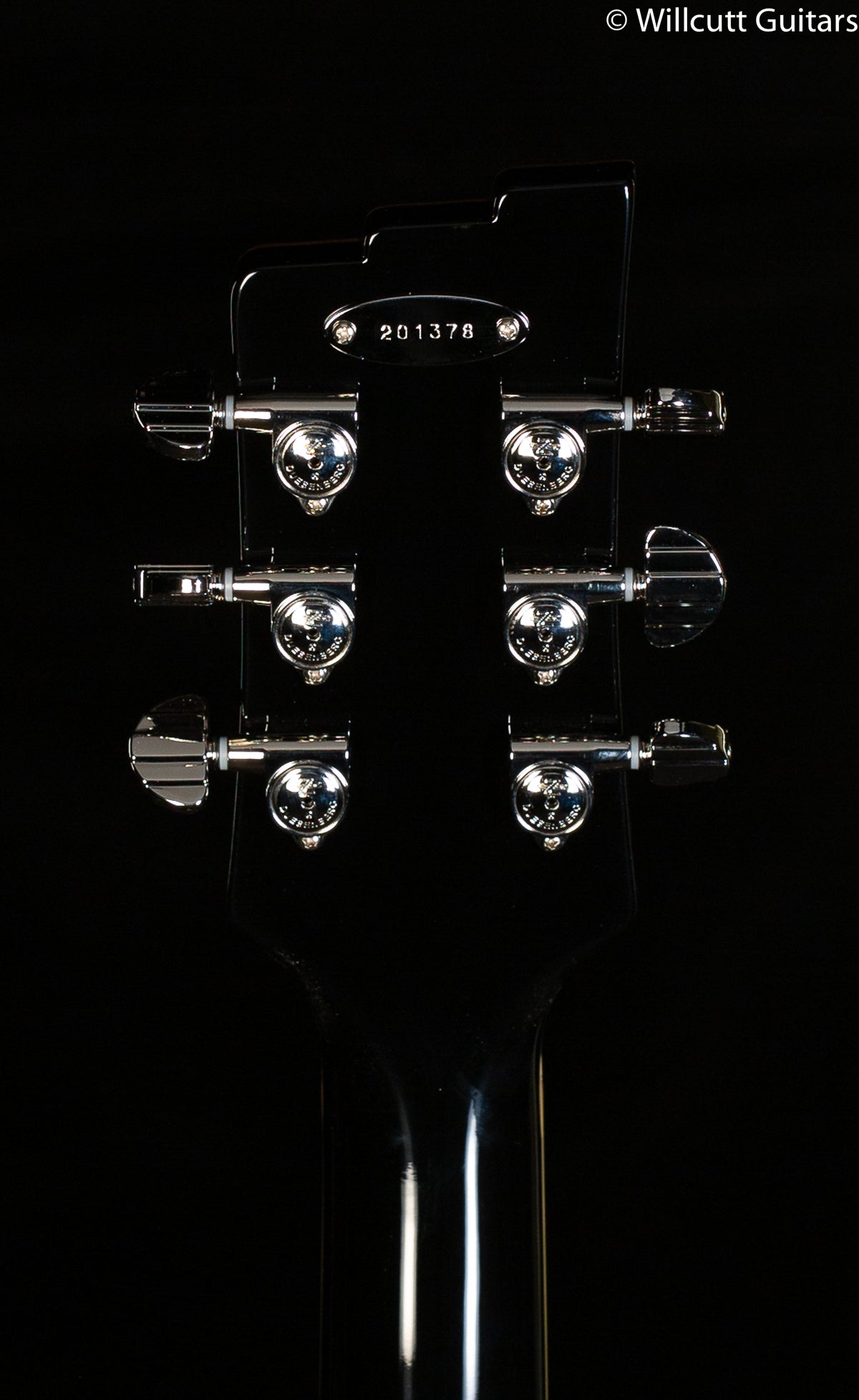 Duesenberg Paloma Catalina Sunset Rose