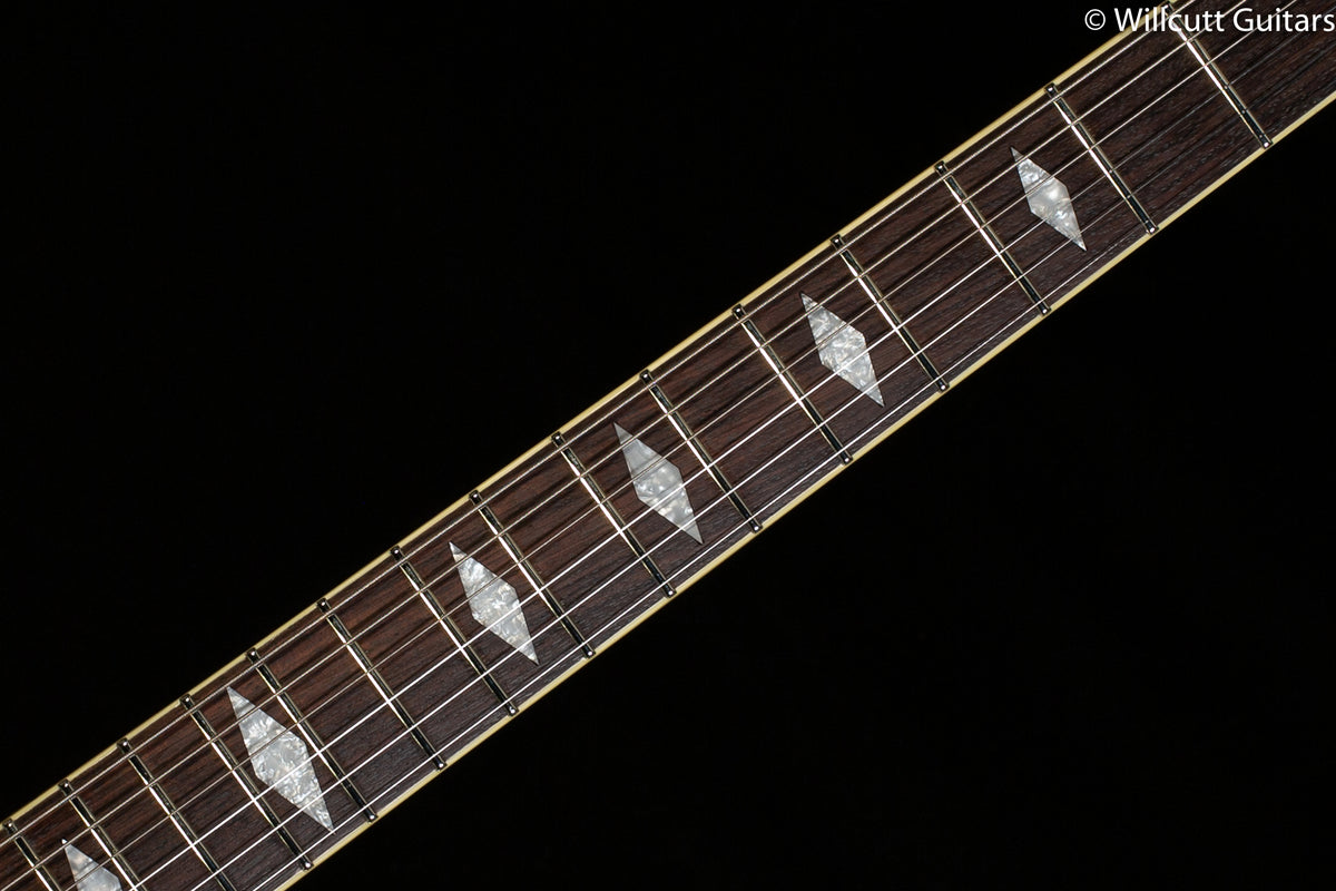 Duesenberg Paloma Catalina Sunset Rose