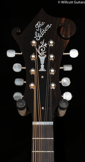 Gibson F-5G Mandolin Red Spruce Top Dark Burst (012)