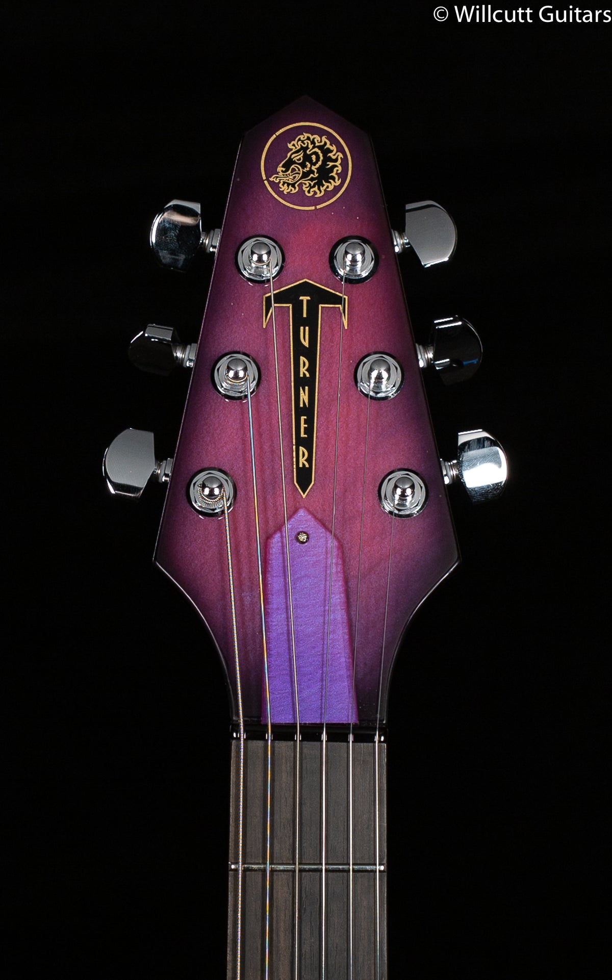Rick Turner Model T Custom "Bezardpoxy" Top