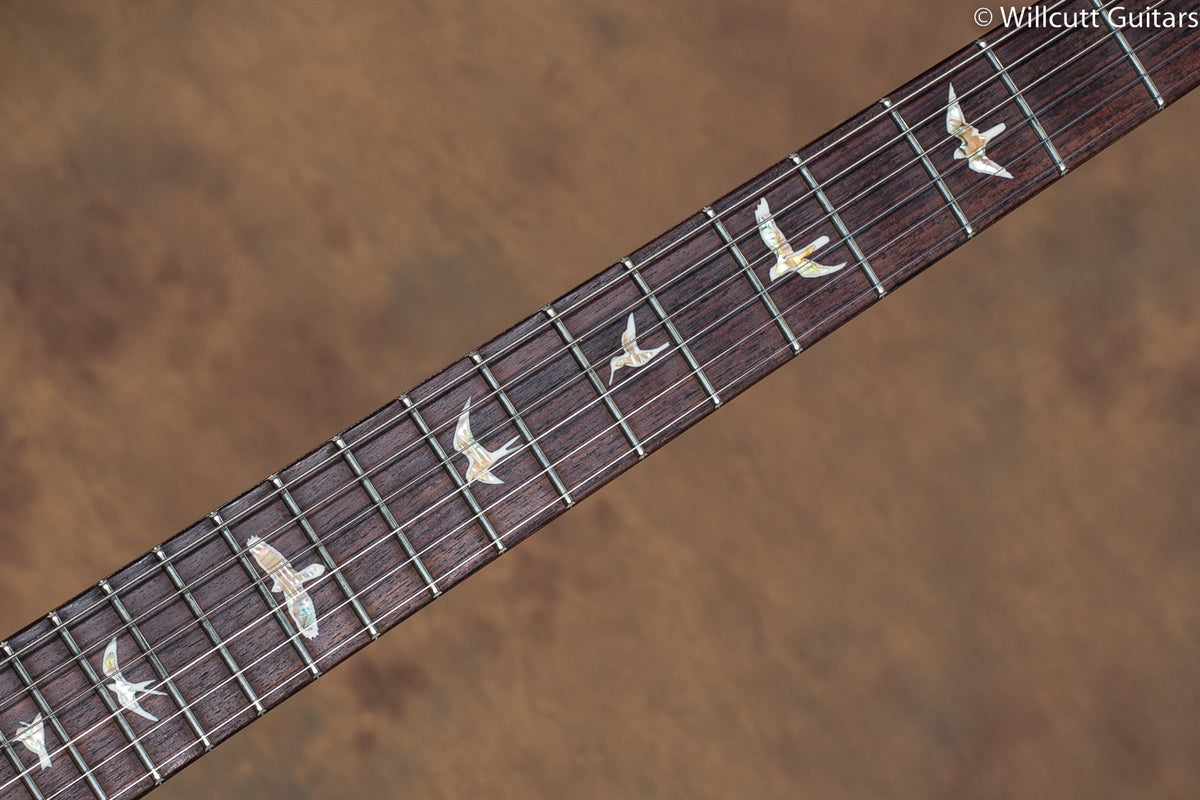 2014 PRS DGT Aquableux 10 Top