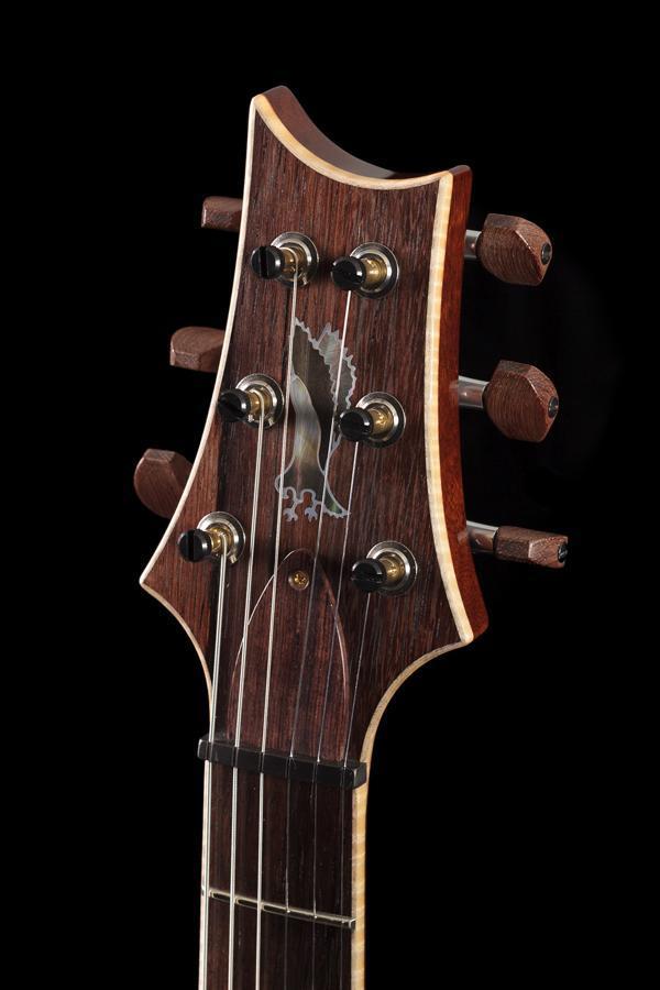 PRS Private Stock 4793 DG Stoptail McCarty Smoked Burst