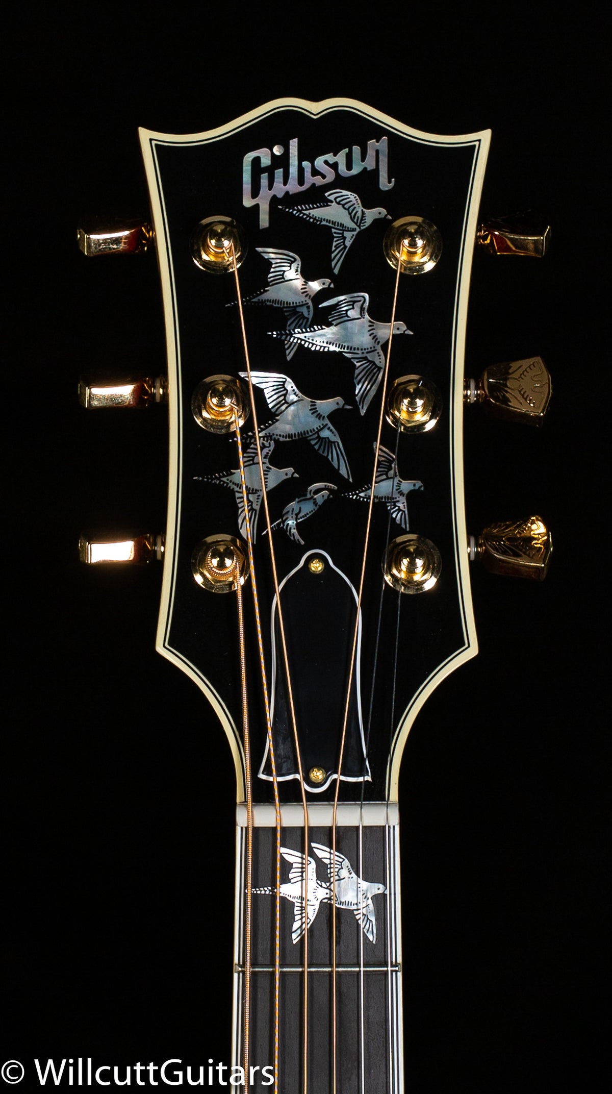 Gibson Doves in Flight