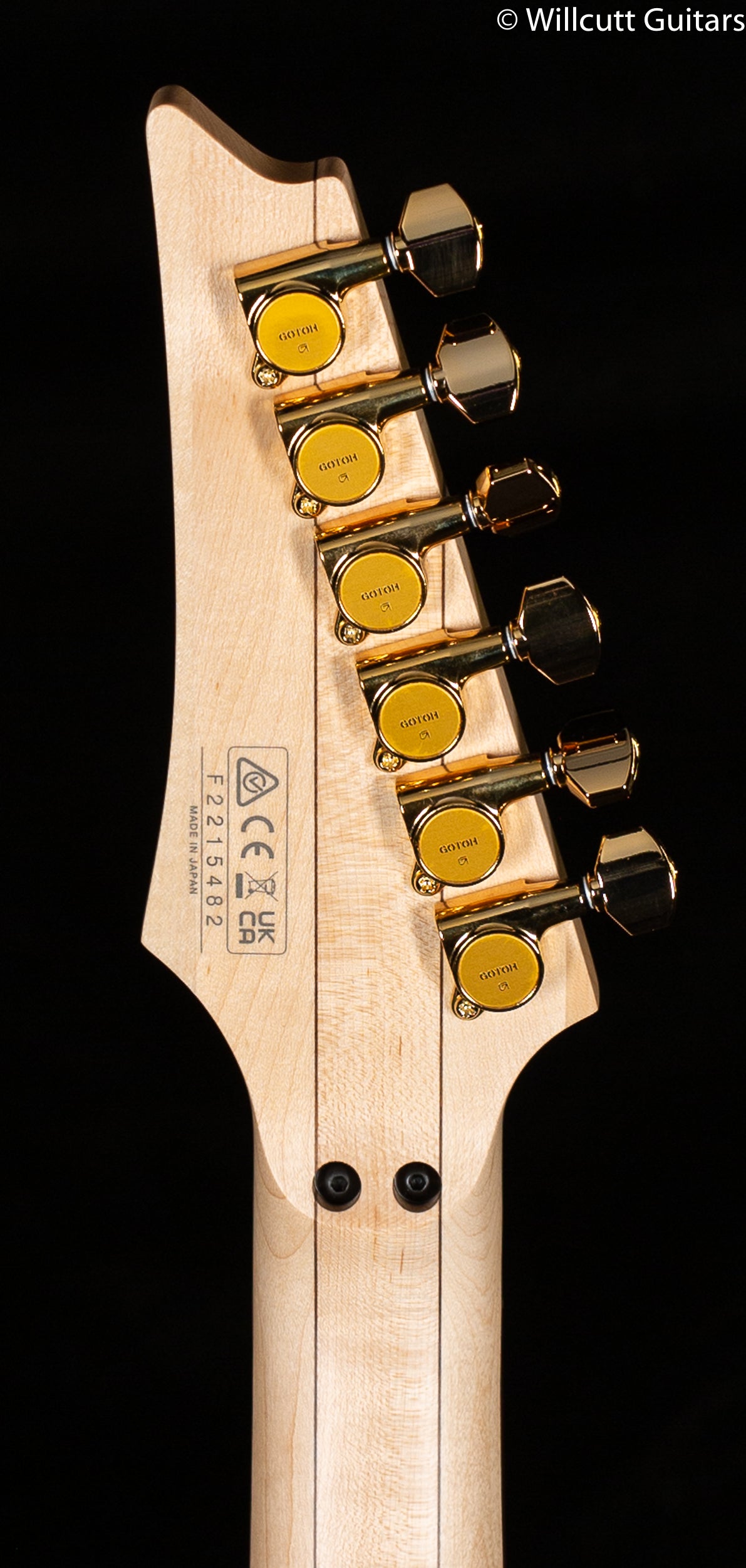 Ibanez PIA3761XB Steve Vai Signature Model Onyx Black (482)