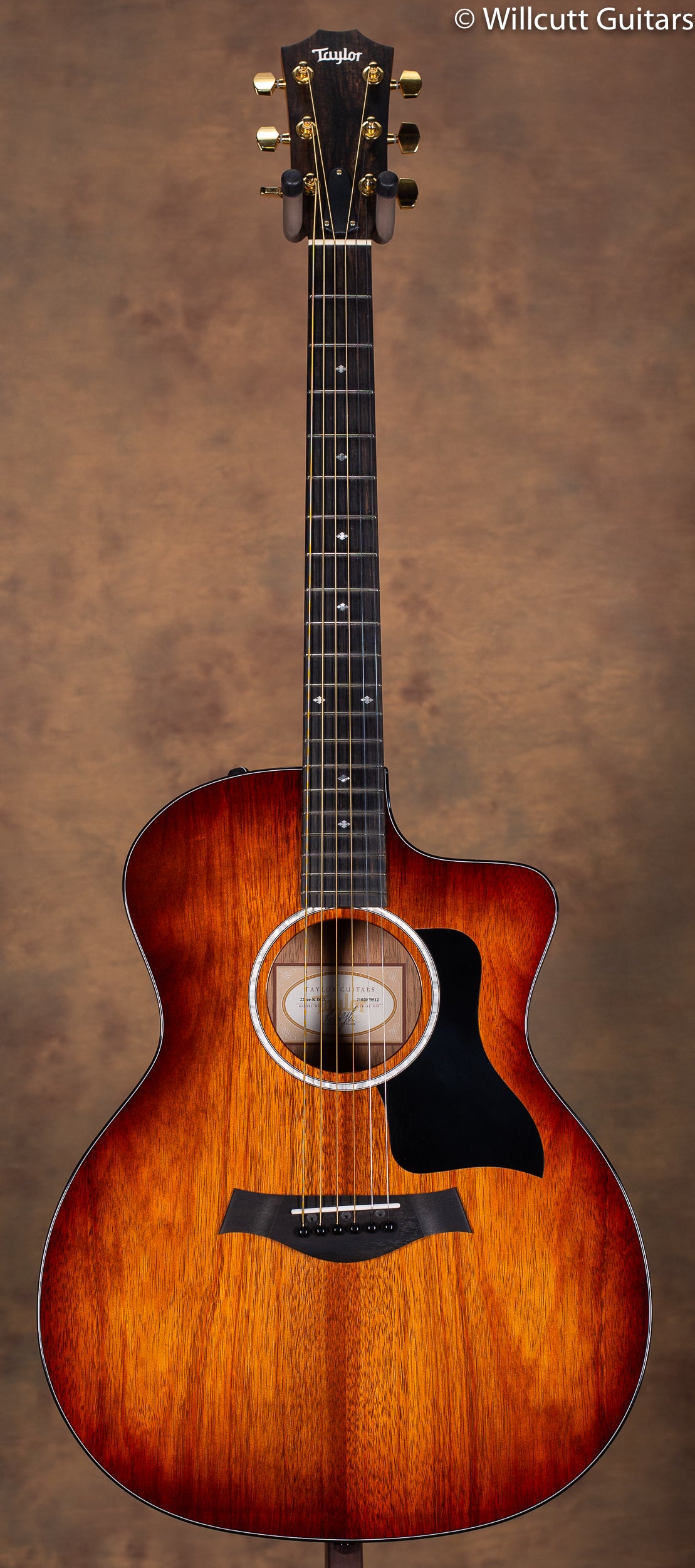 2019 Taylor 224ce Deluxe USED