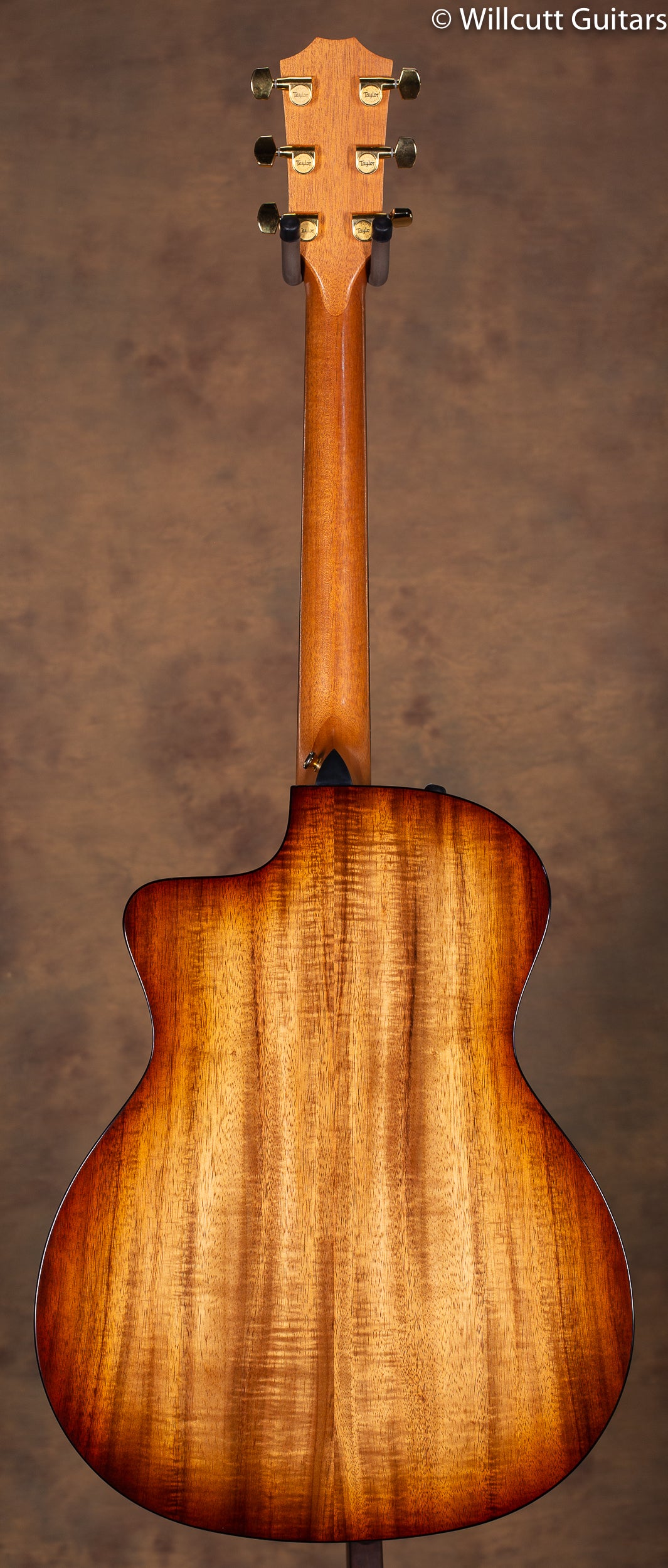 2019 Taylor 224ce Deluxe USED