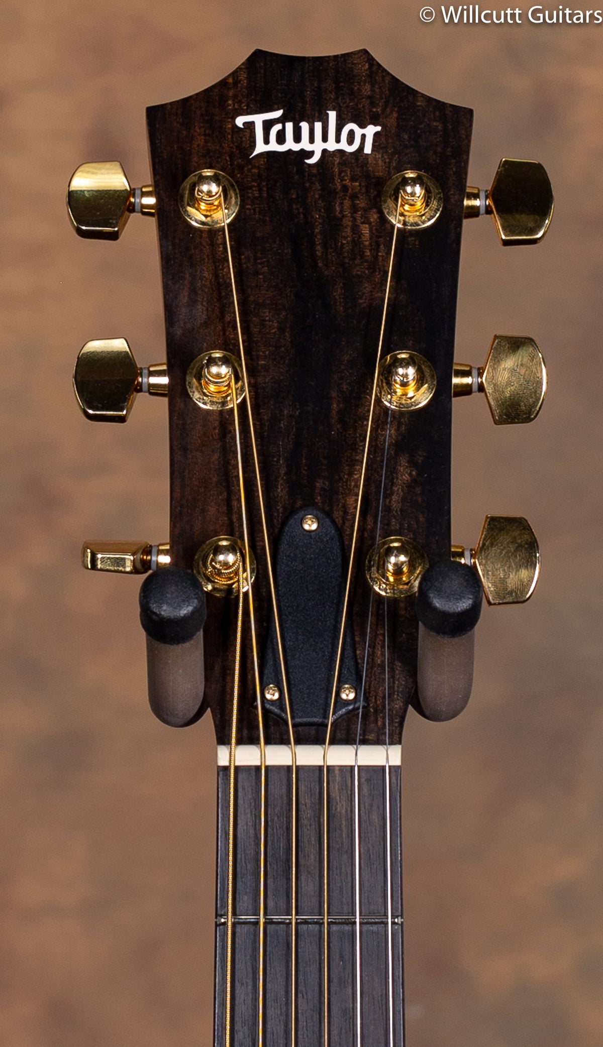 2019 Taylor 224ce Deluxe USED