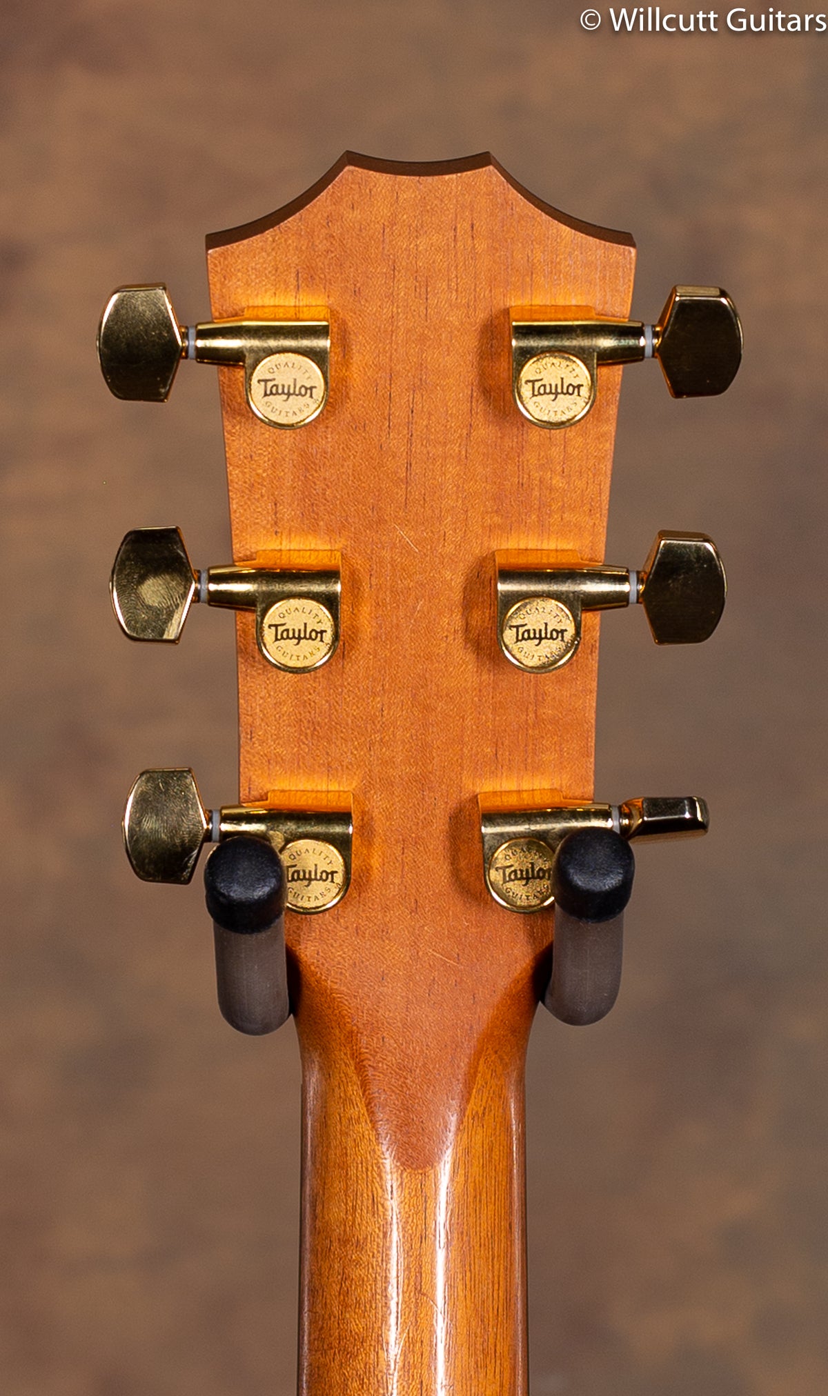 2019 Taylor 224ce Deluxe USED