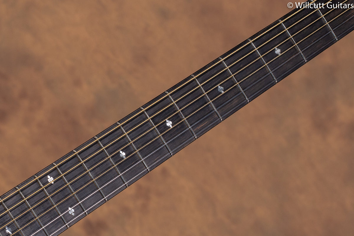 2019 Taylor 224ce Deluxe USED