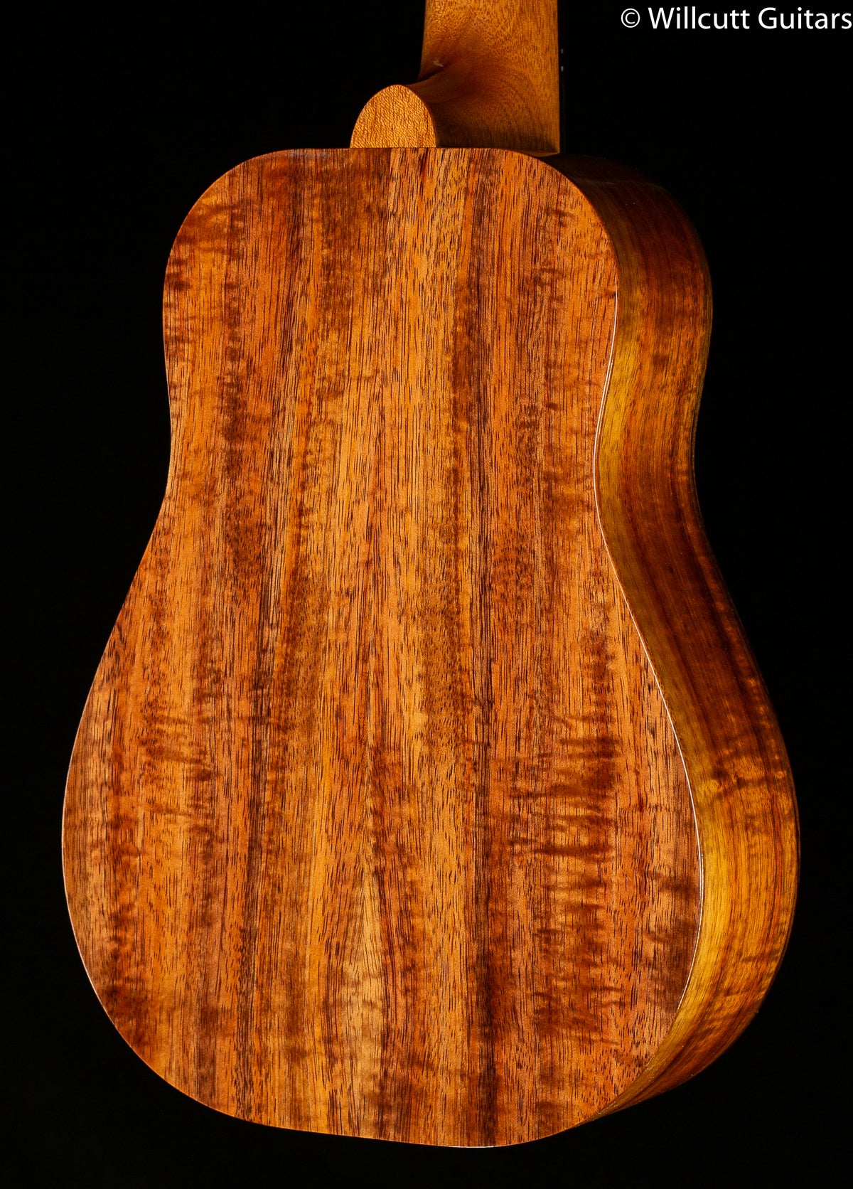 Kamaka Concert Bell Shape Deluxe Ukulele HB-2D