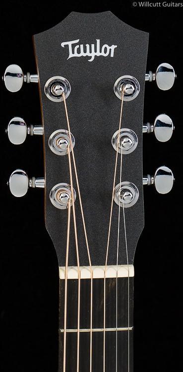 Taylor Taylor Swift Baby Taylor (434)