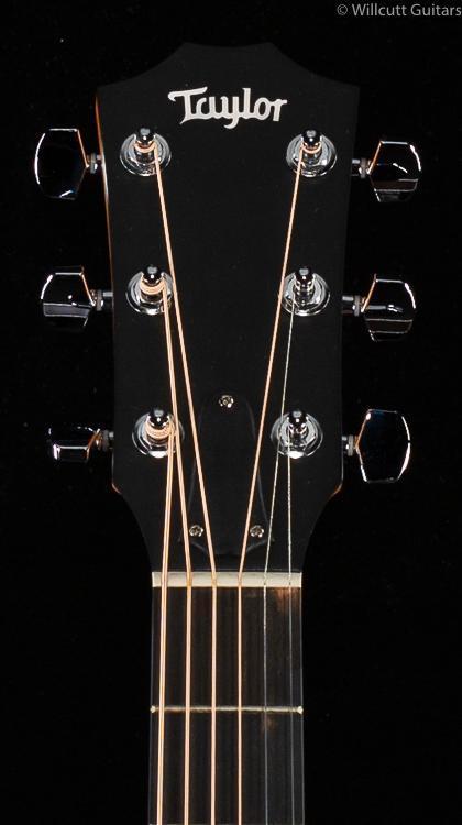 Taylor 210e Deluxe Tobacco Sunburst (554)