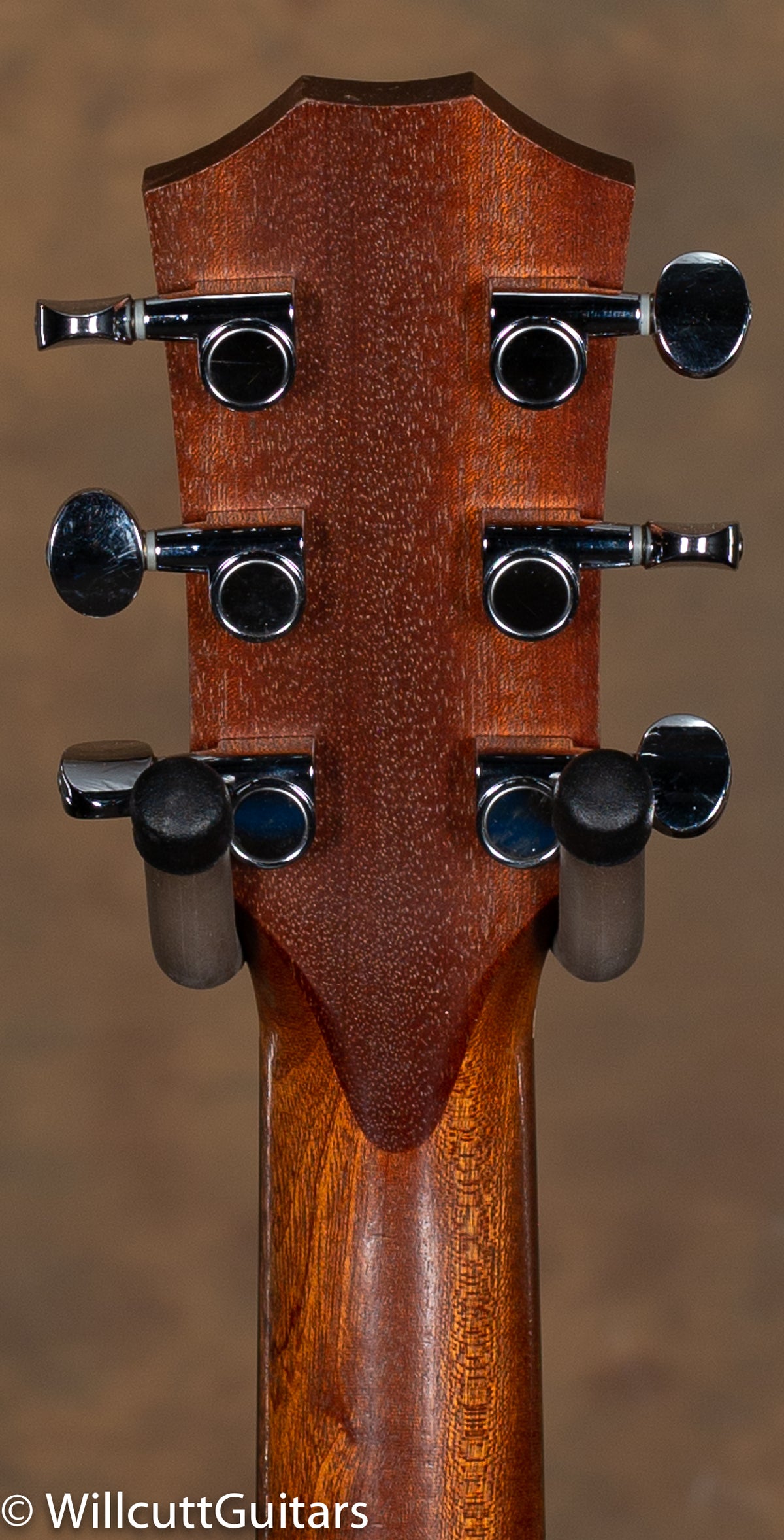 Taylor GS Mini Mahogany
