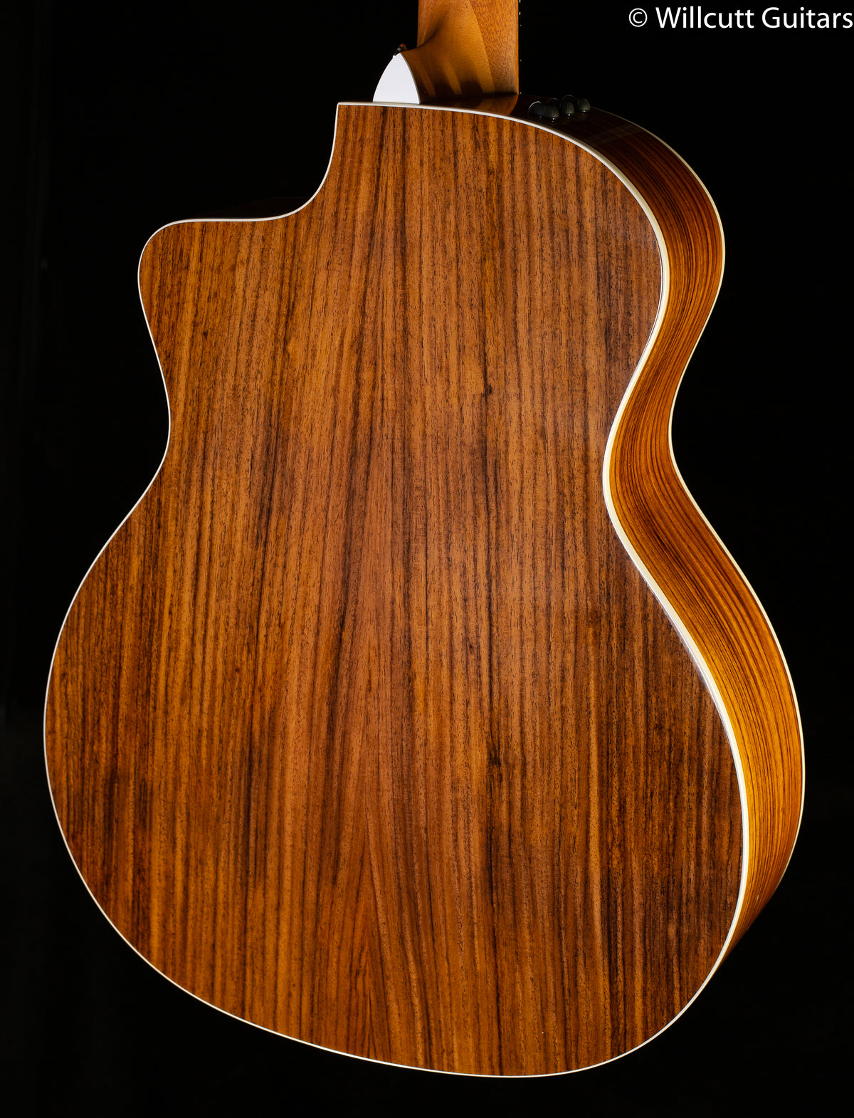 Taylor 254CE Deluxe Prototype