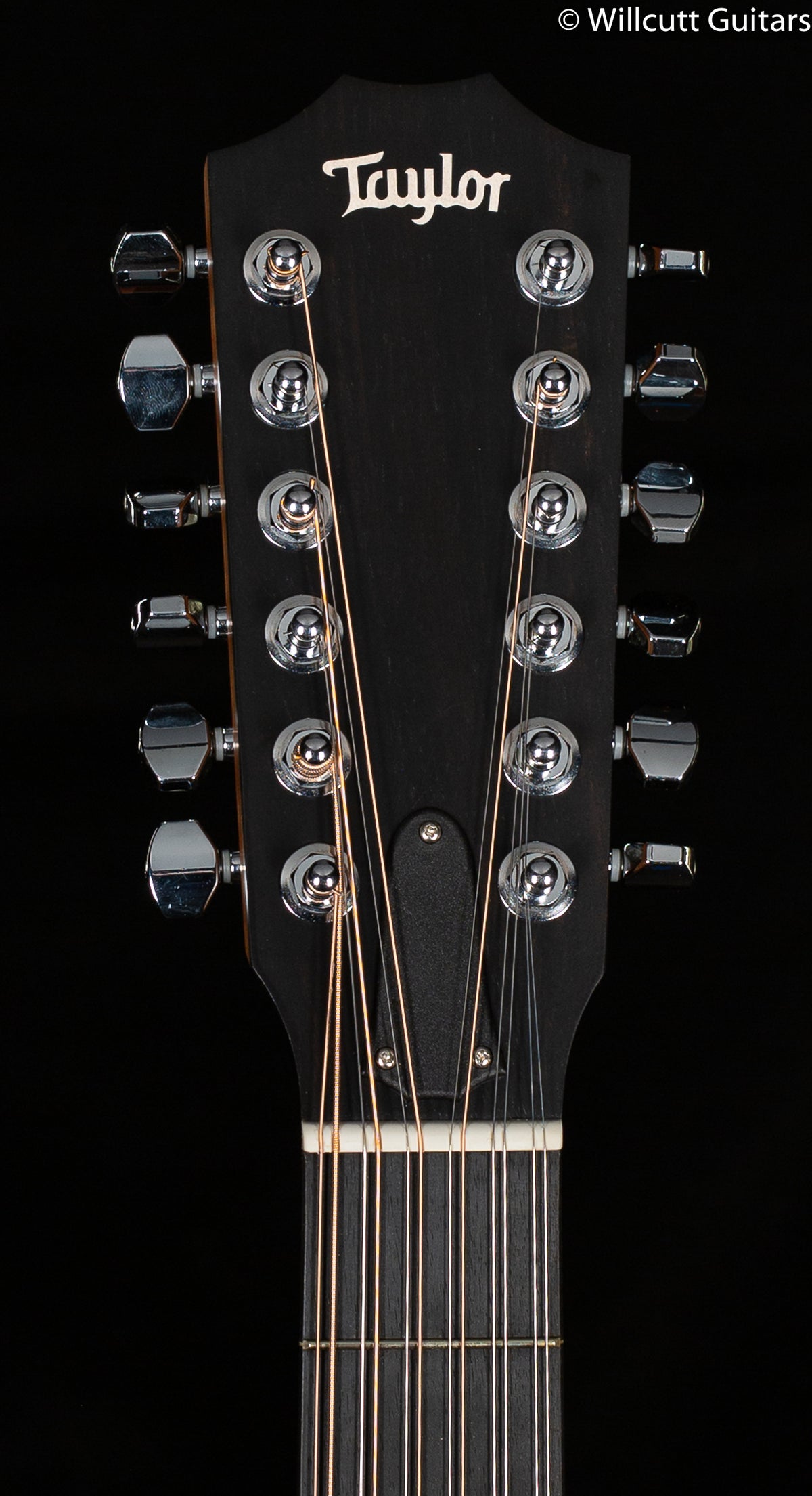 Taylor 254CE Deluxe Prototype