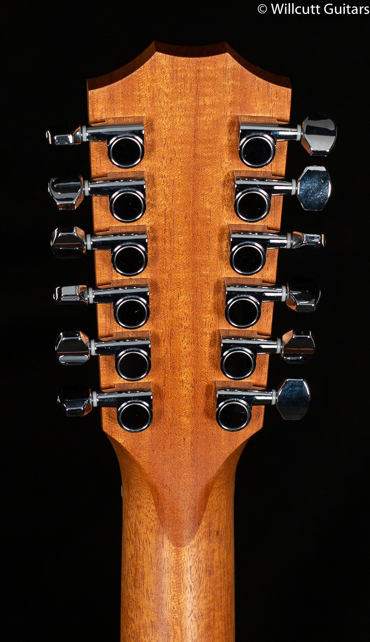 Taylor 254CE Deluxe Prototype