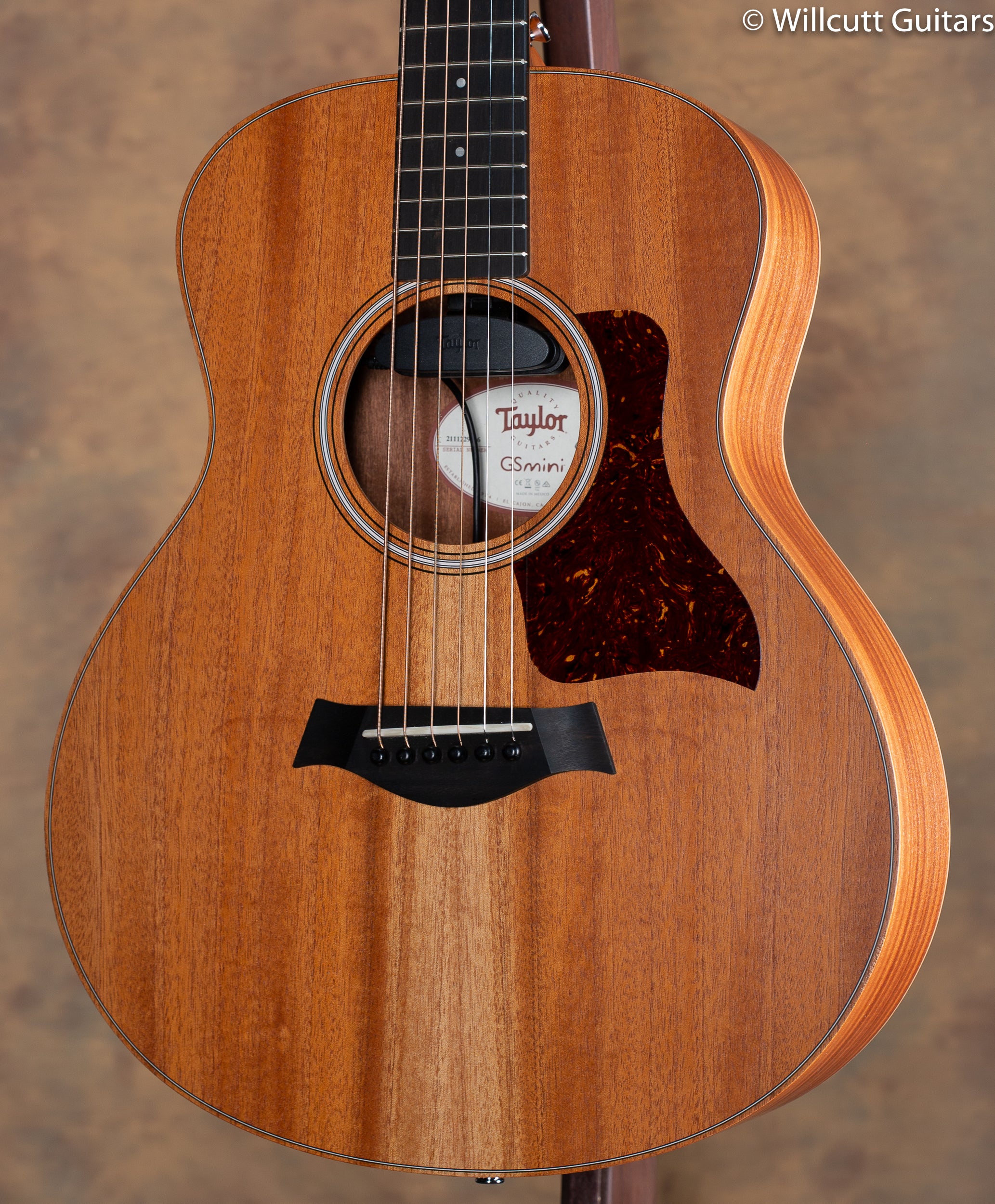 Taylor GS Mini Mahogany w/ ES Go Pickup - Willcutt Guitars