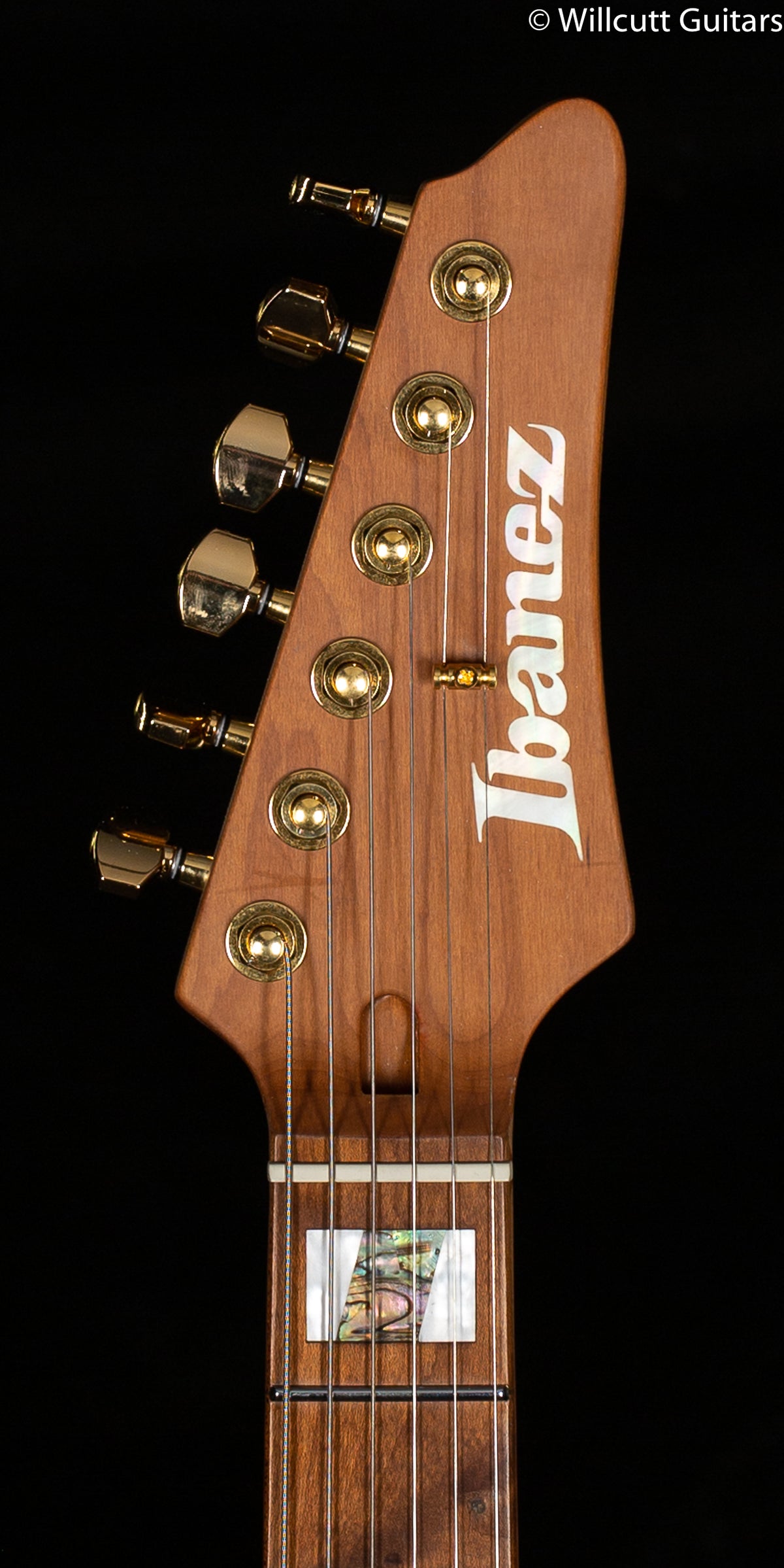 Ibanez Tim Henson Signature THBB10 Black Gloss (941)