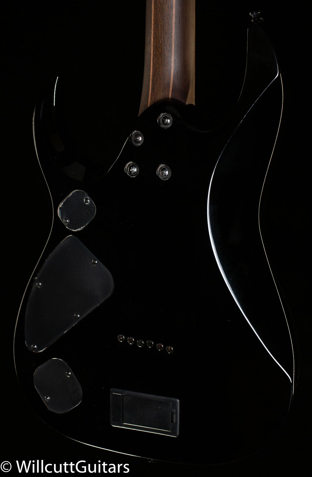 Ibanez RG Axion Label RGD61ALA Midnight Tropical Rainforest