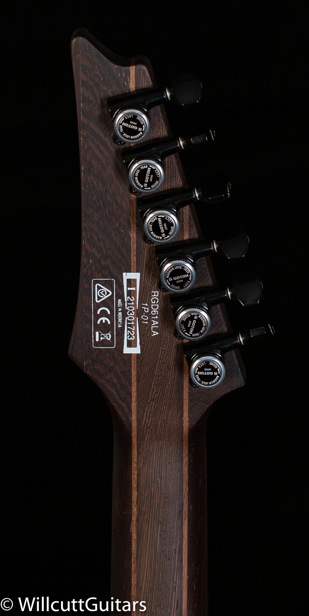 Ibanez RG Axion Label RGD61ALA Midnight Tropical Rainforest
