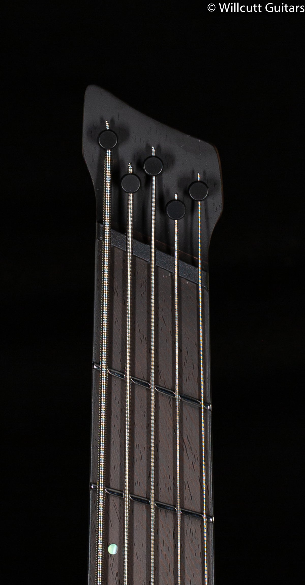 Ibanez Bass Workshop EHB1265MS Natural Mocha Low Gloss Bass Guitar (919)