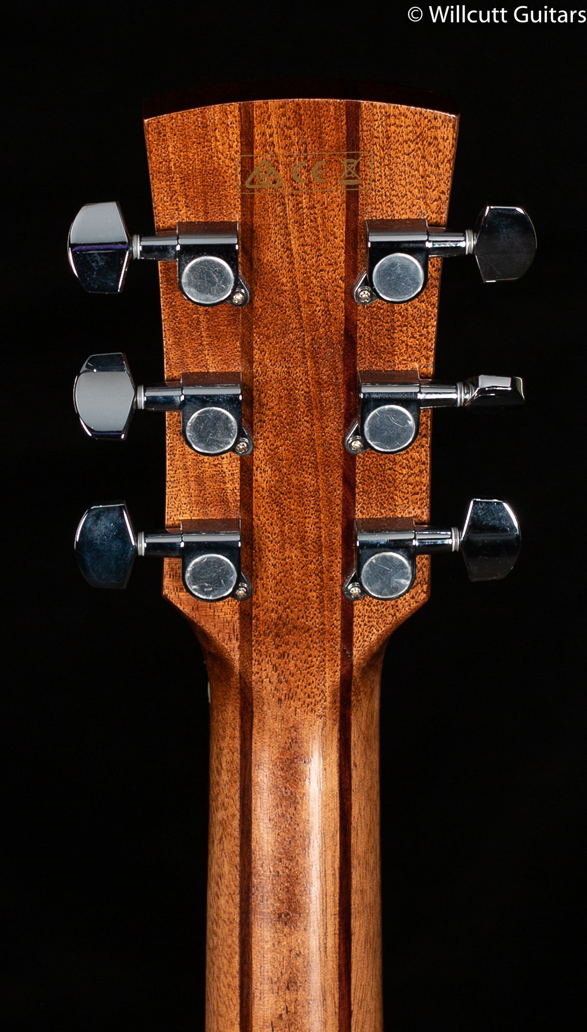 Ibanez Artwood Series Acoustic 300CE OPS (024)