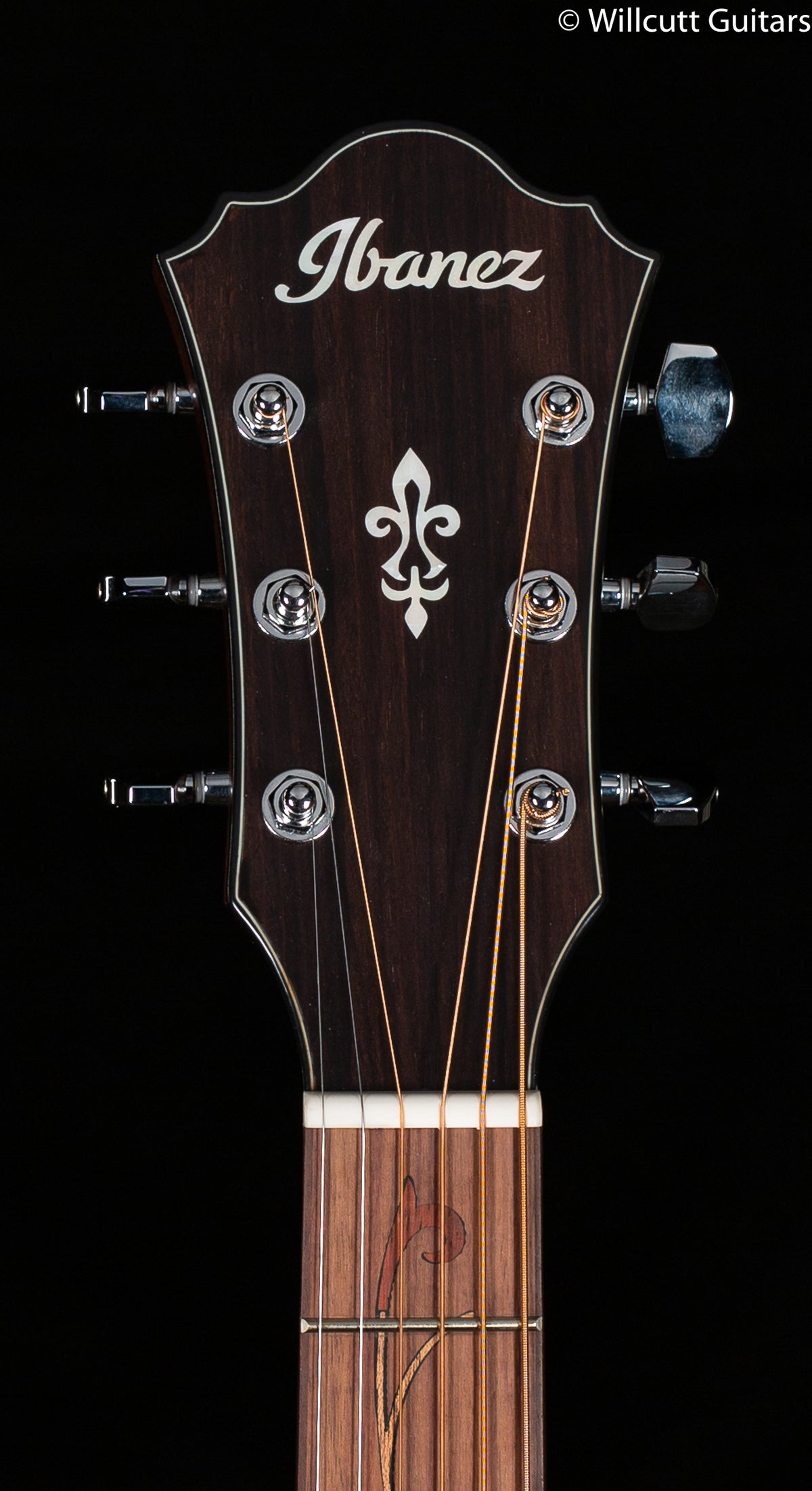 Ibanez AE SERIES ACS-EL AC GUITAR AE295LLGS Lefty