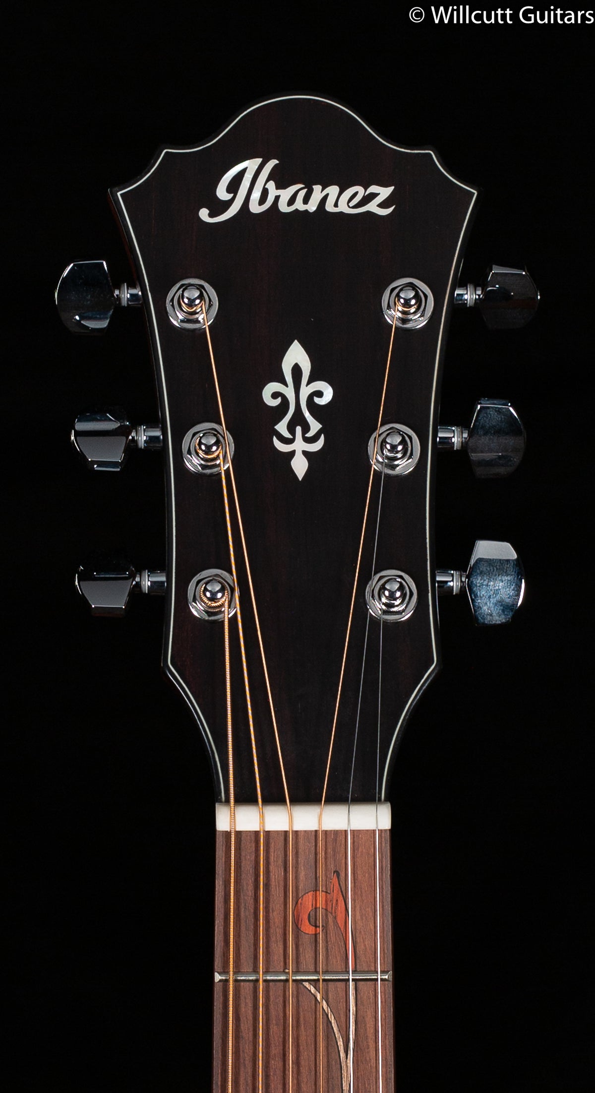 Ibanez AE Series AE275 Natural Low Gloss (365)