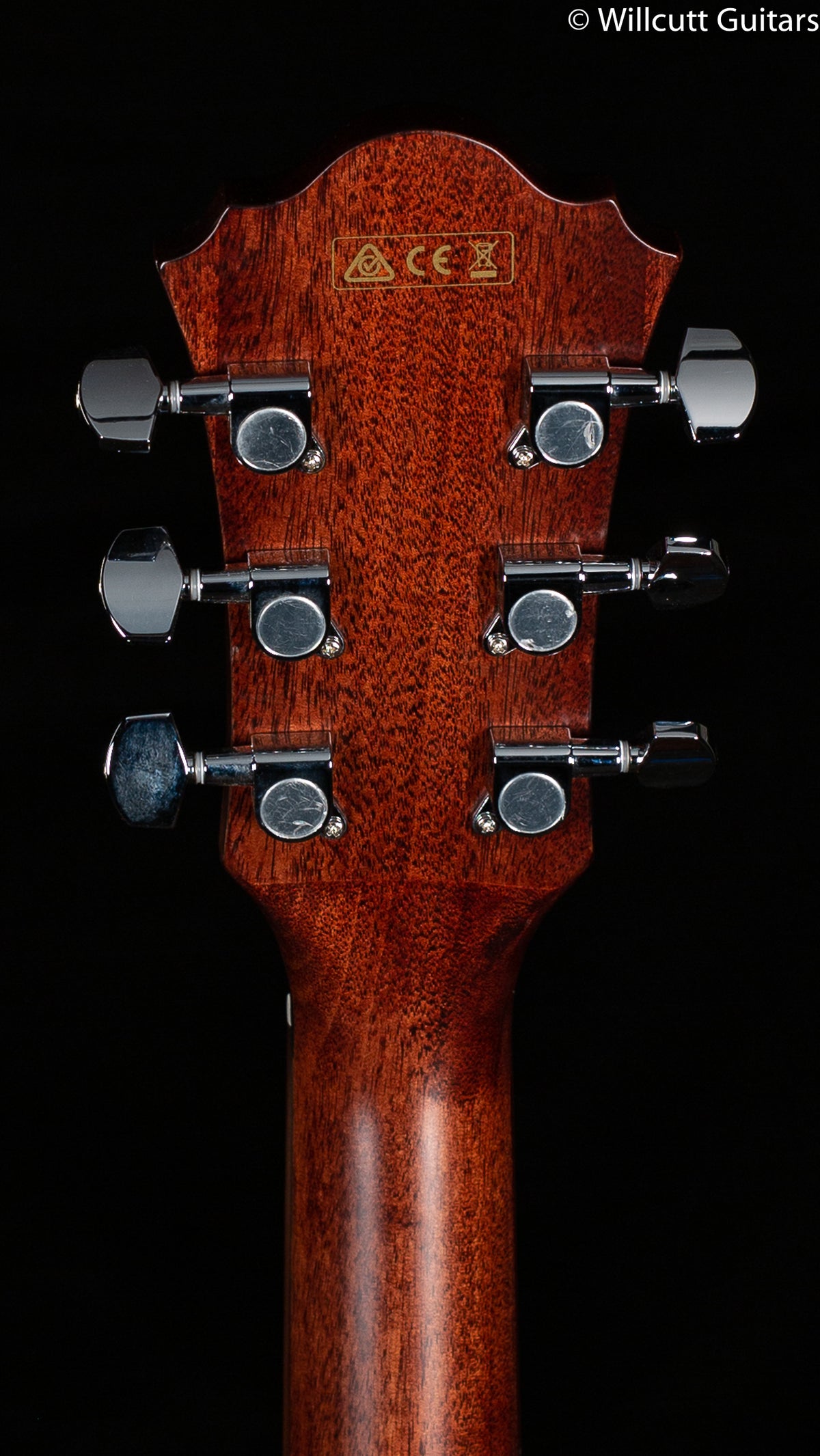 Ibanez AE Series AE275 Natural Low Gloss (365)