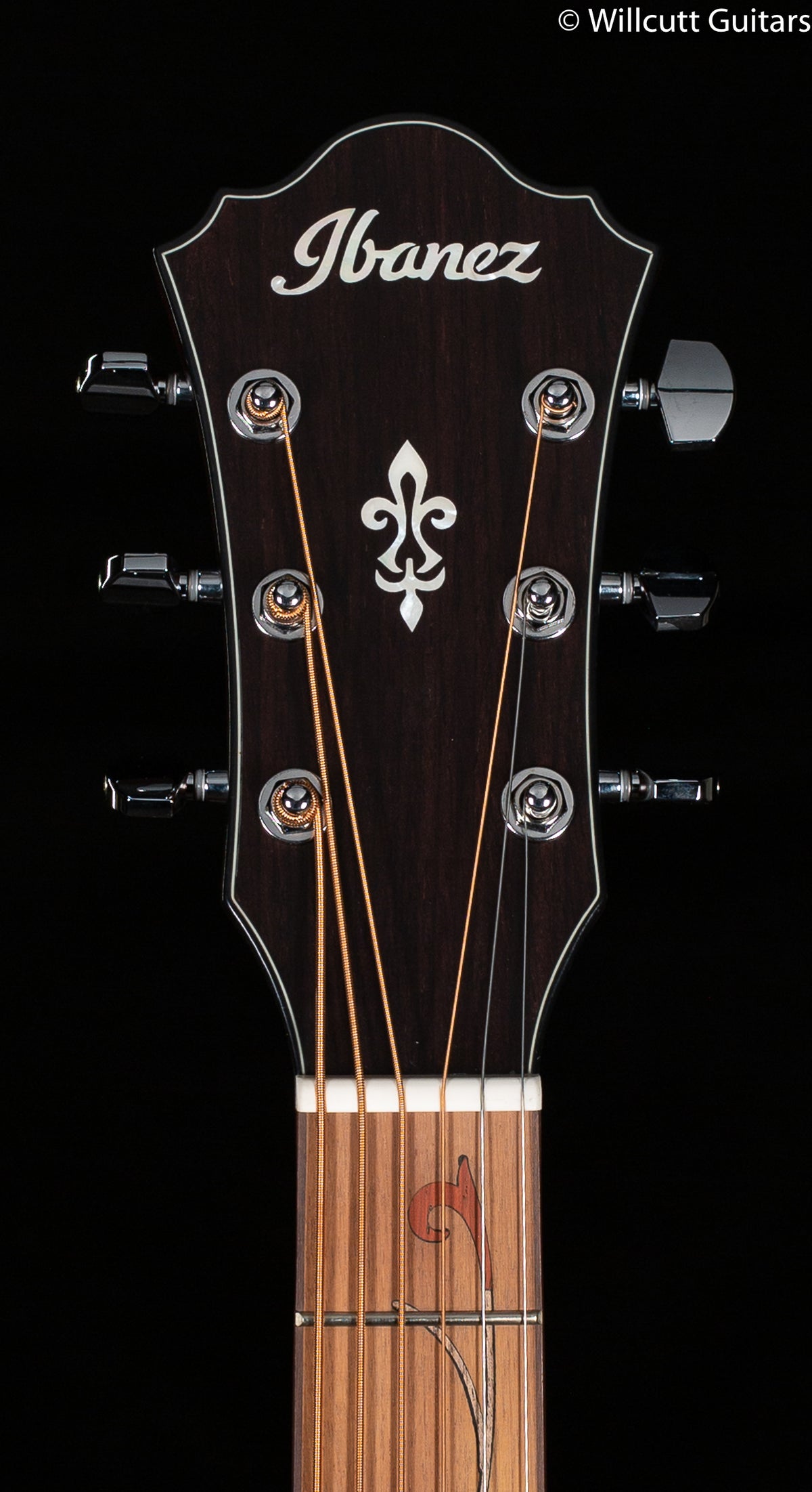 Ibanez AE SERIES ACS-EL AC GUITAR AE275BTLGS (530)