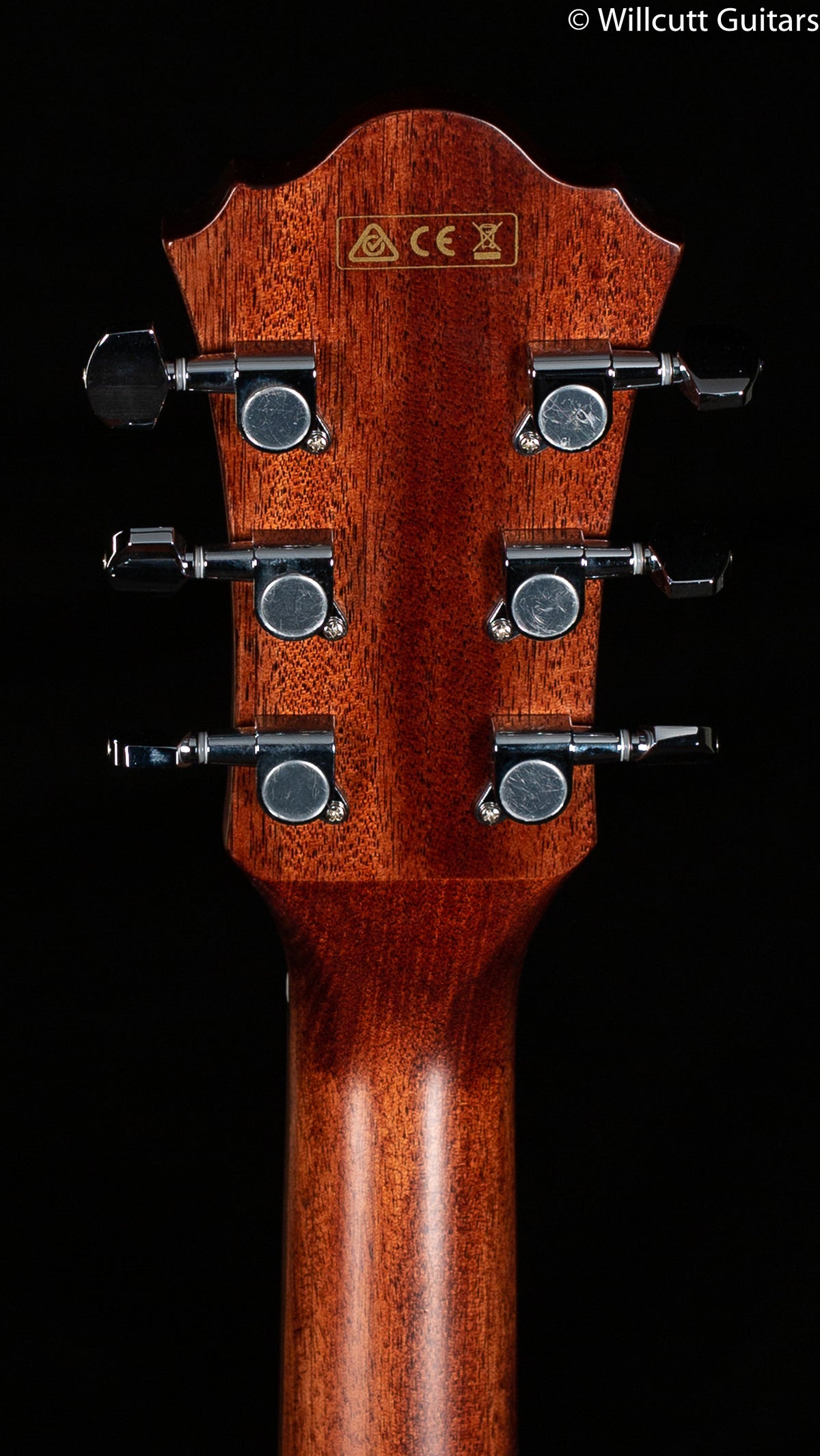 Ibanez AE SERIES ACS-EL AC GUITAR AE275BTLGS (530)