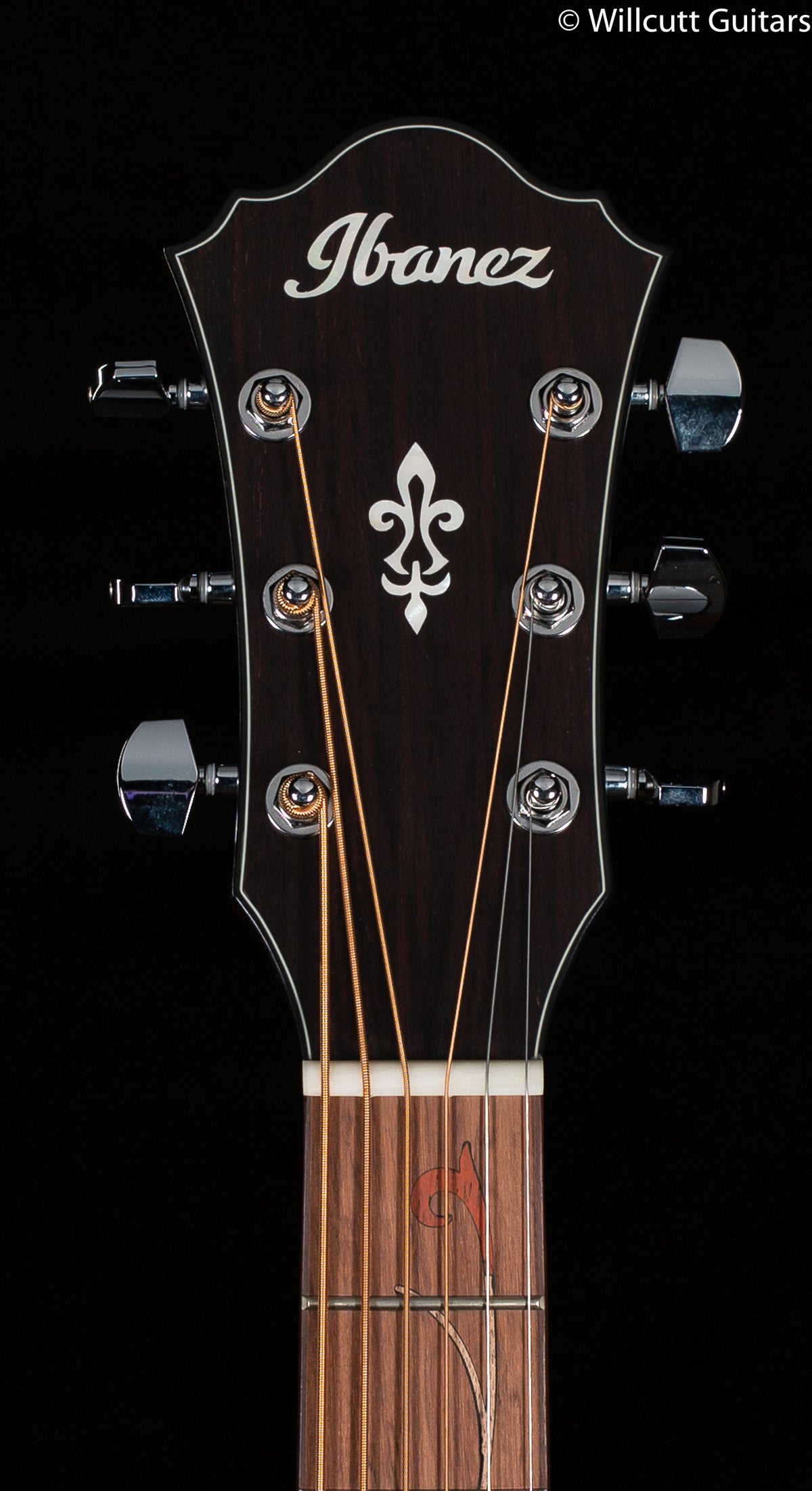 Ibanez AE SERIES ACS-EL AC GUITAR AE275BTLGS (533)