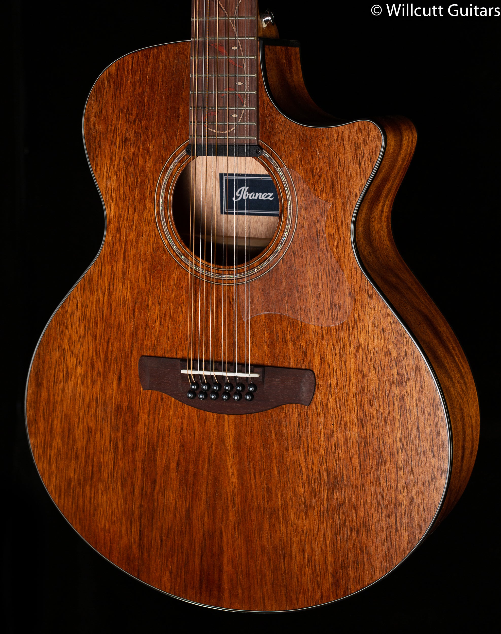 Amazon.com: Ibanez AE295 Acoustic-Electric Guitar - Natural