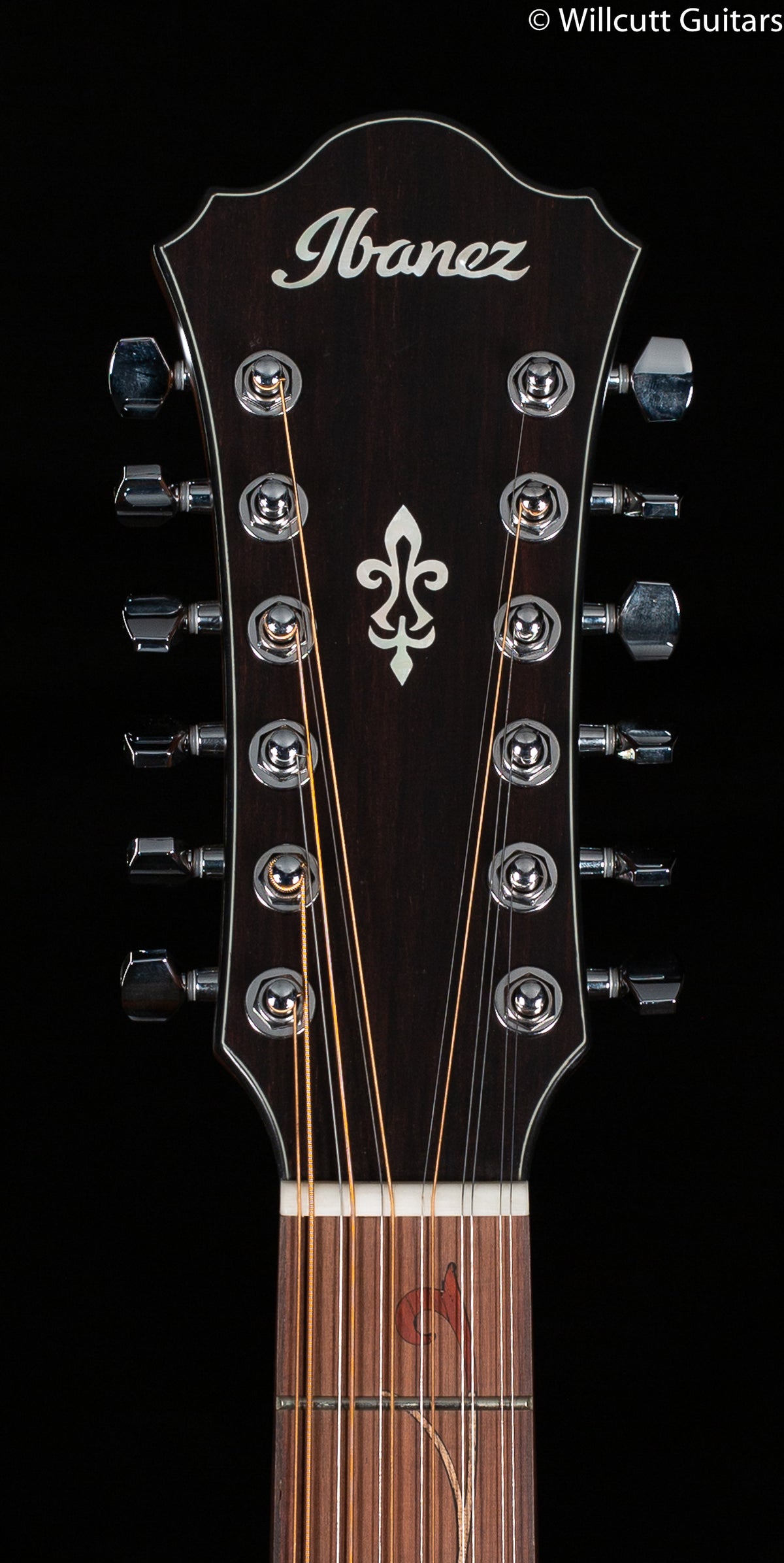 Ibanez AE SERIES ACS-EL AC GUITAR AE2912LGS (729)