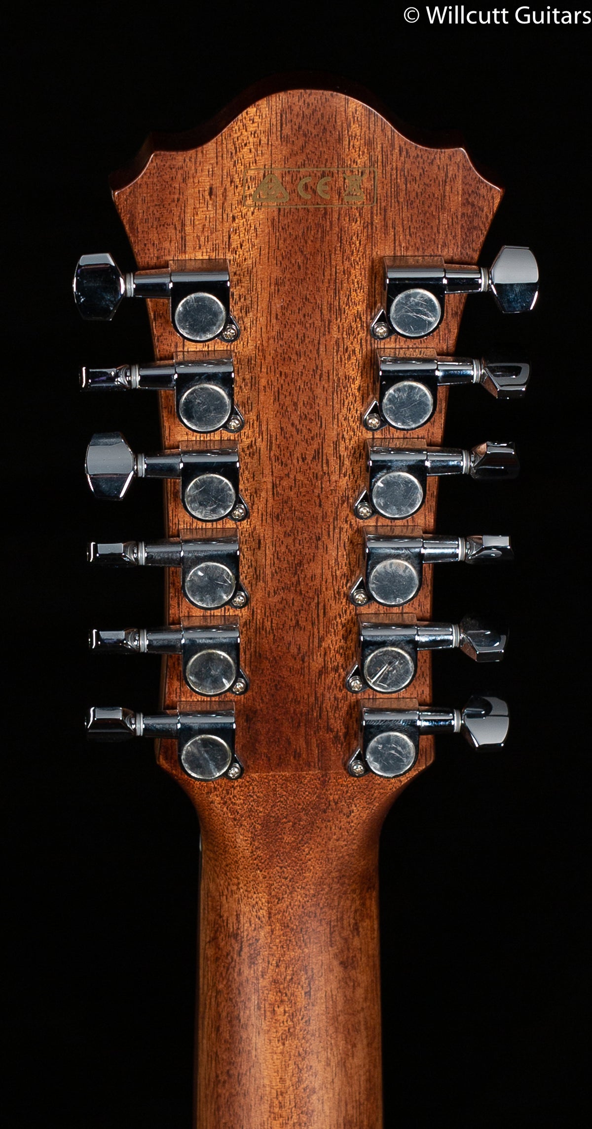 Ibanez AE SERIES ACS-EL AC GUITAR AE2912LGS (729)