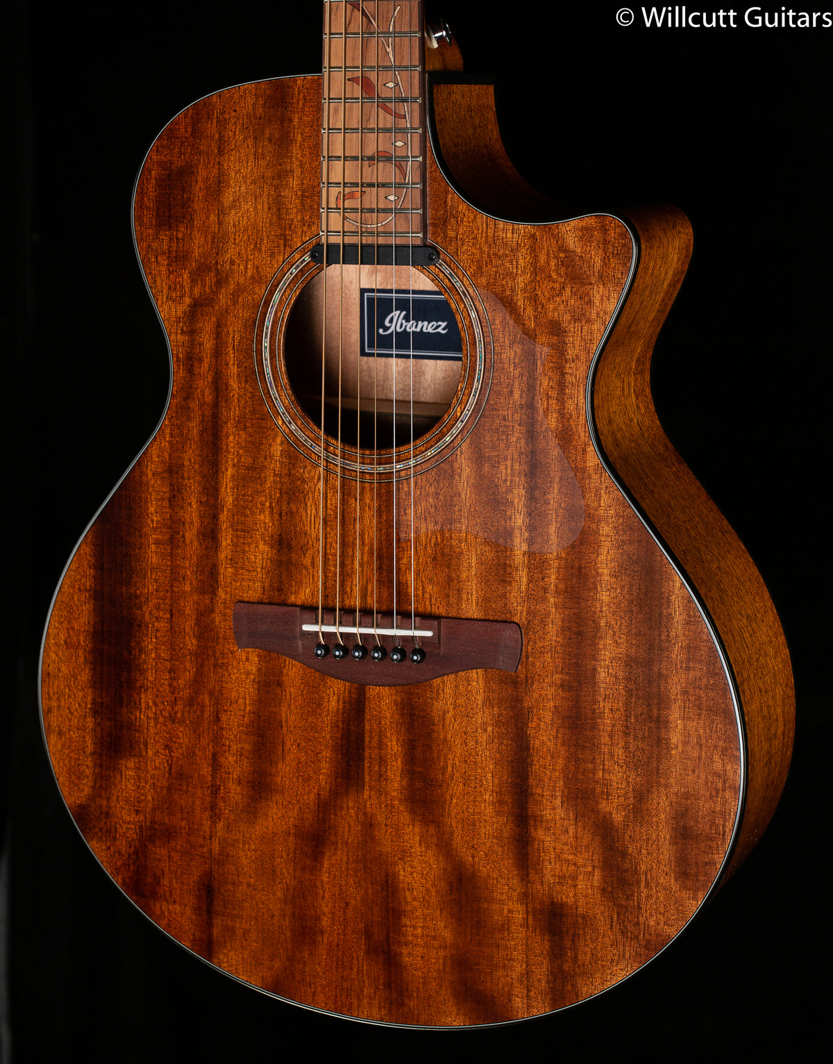 Ibanez AE SERIES ACS-EL AC GUITAR AE295LGS (672)